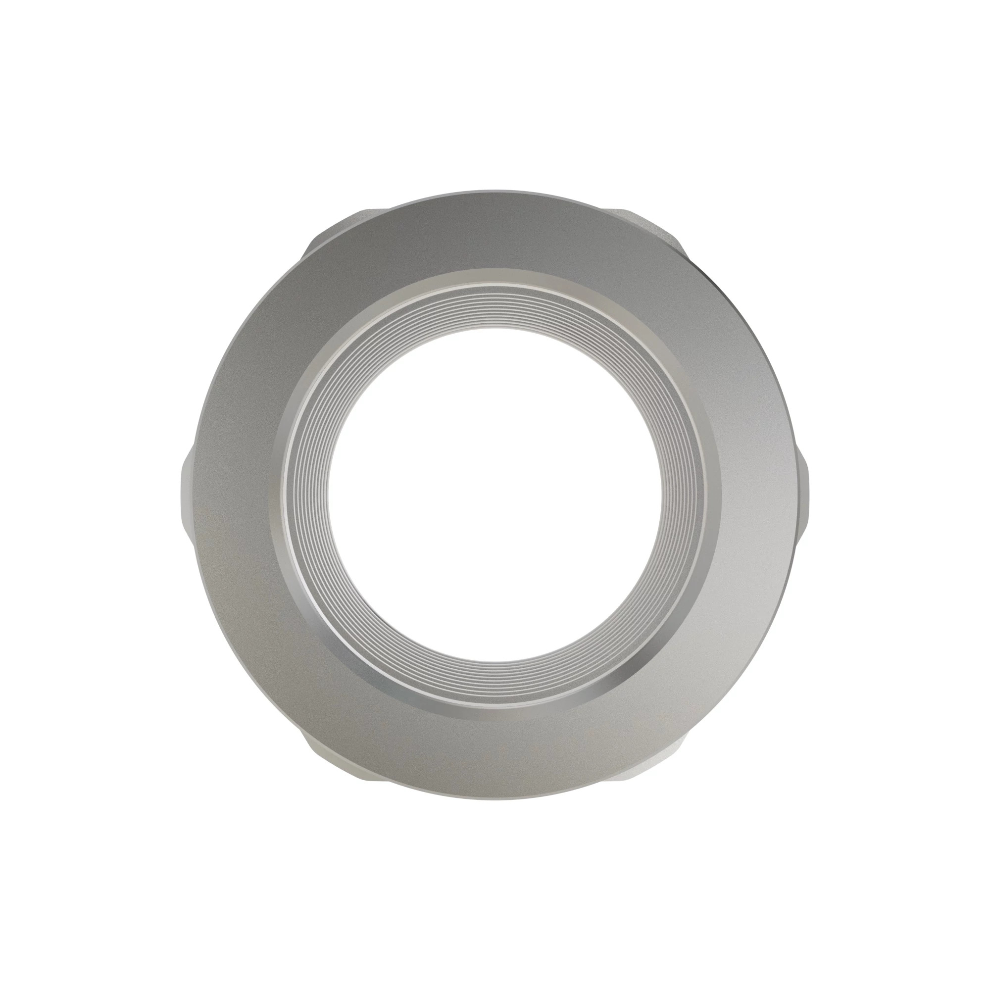 H178713: Hexagonal Nut, M62.0