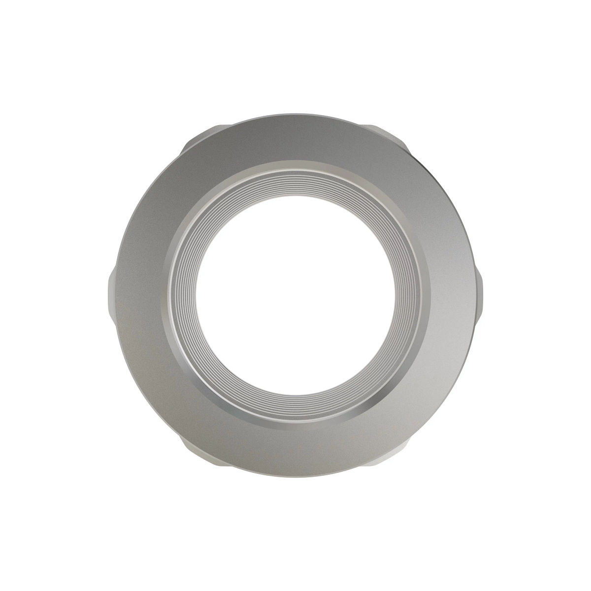 H178713: Hexagonal Nut, M62.0