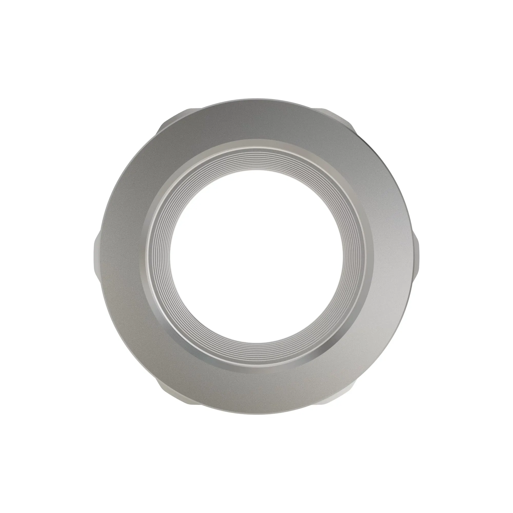 H178713: Hexagonal Nut, M62.0