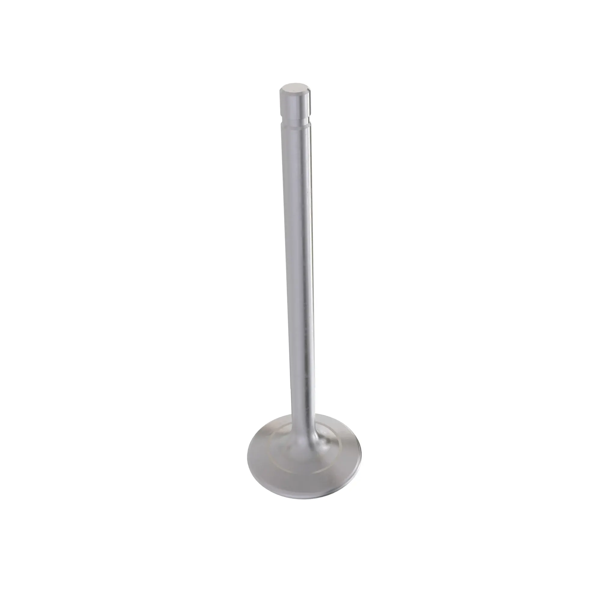 EXHAUST VALVE