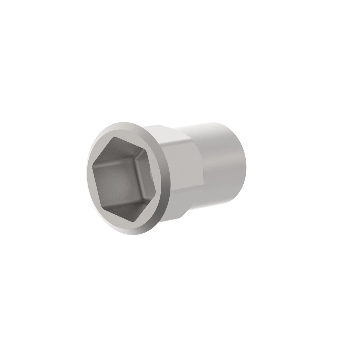 Nut, Threaded Insert