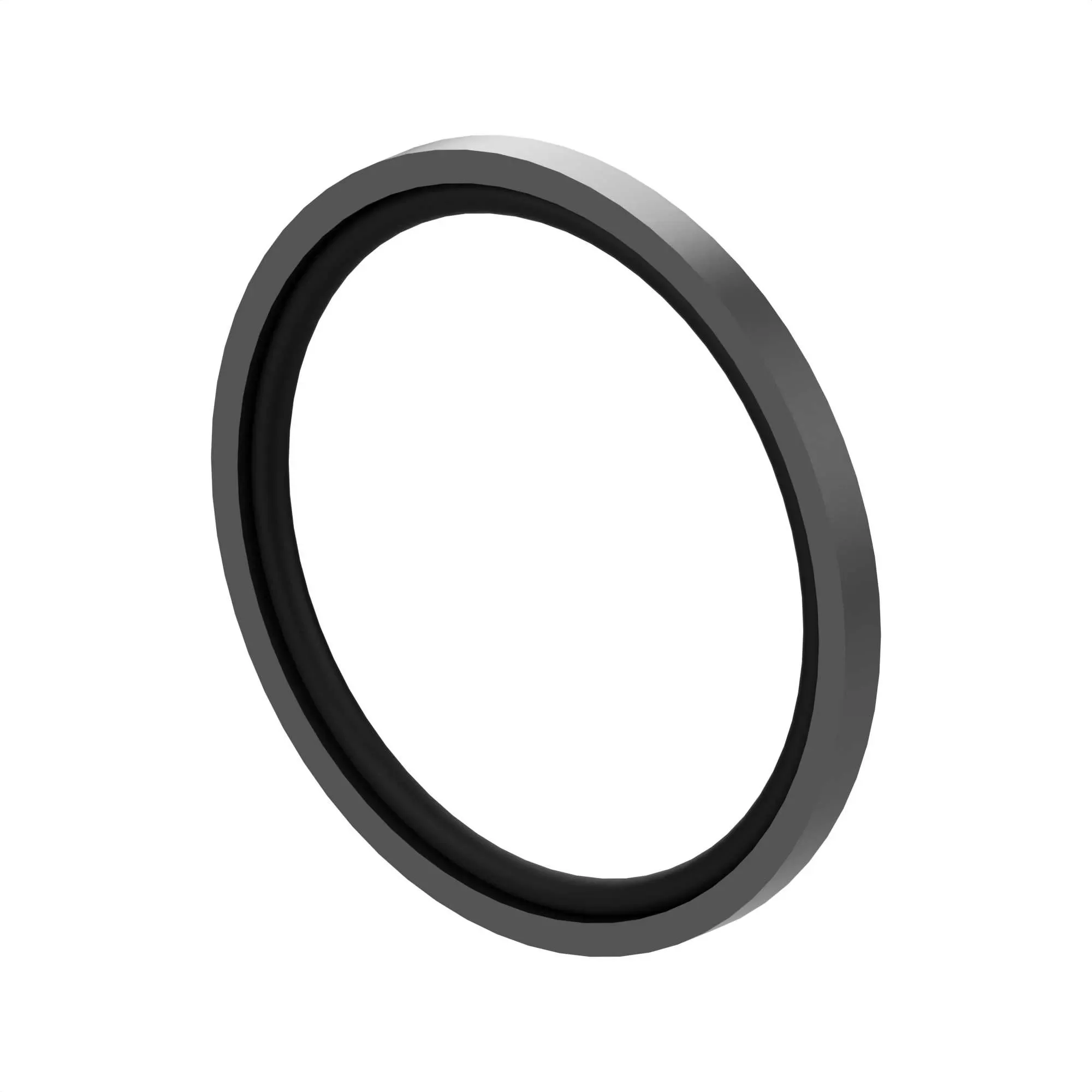 TH104922: Seal Ring