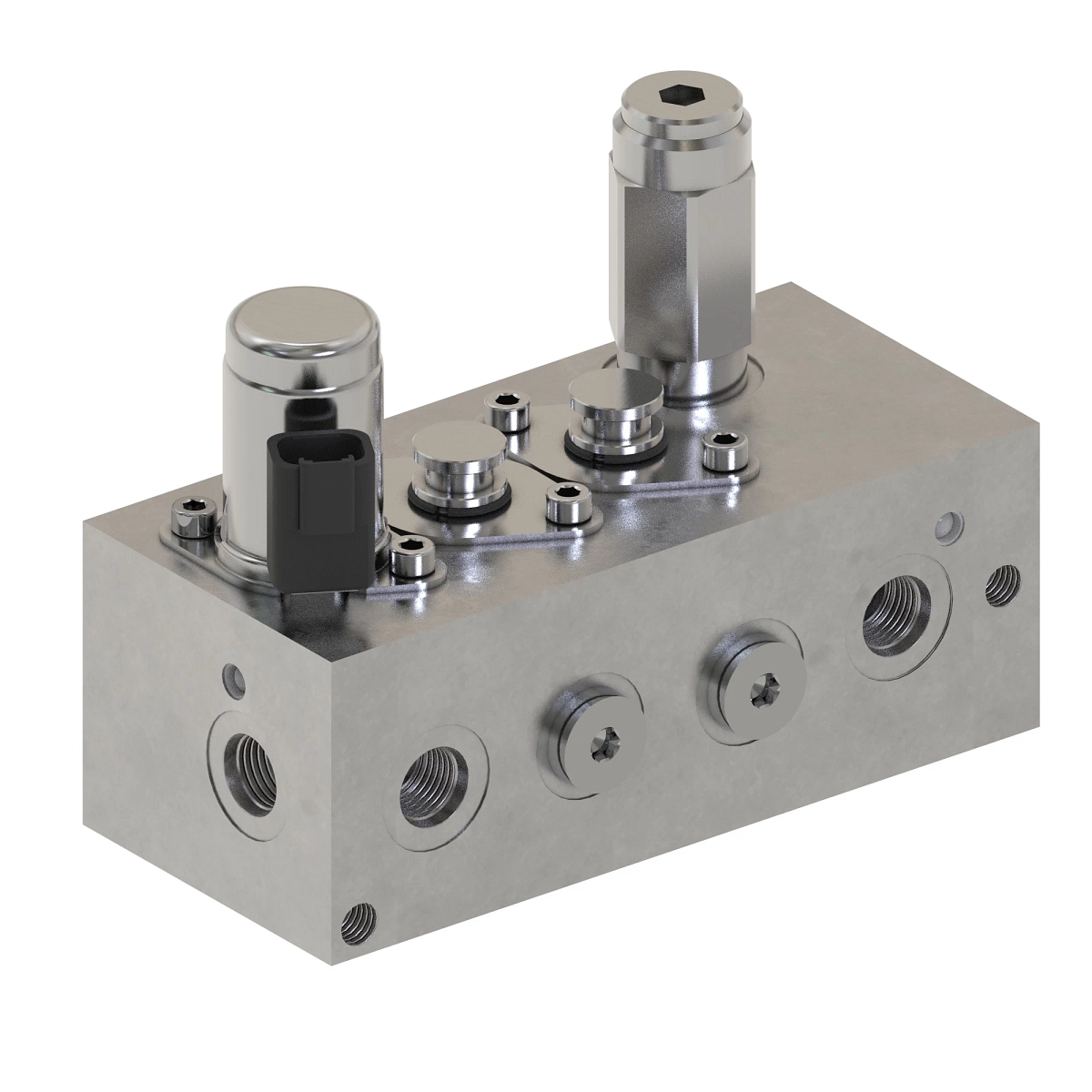 Manifold