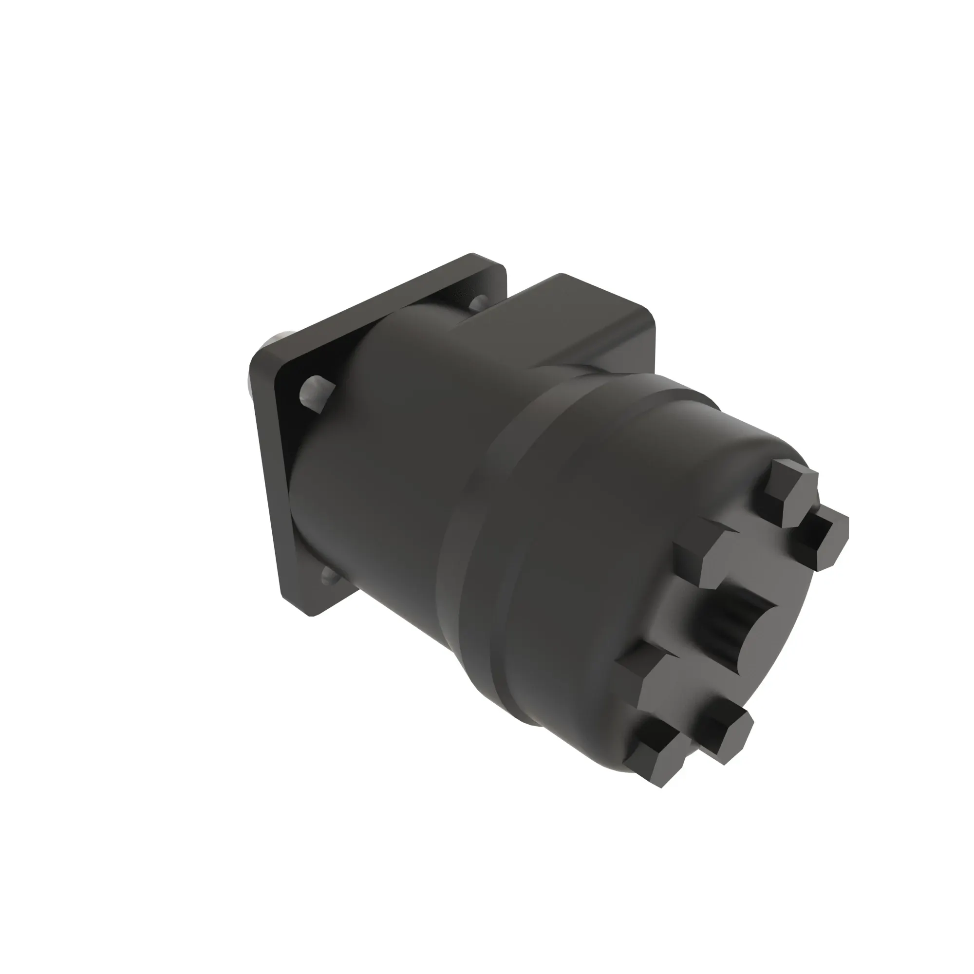 HYDRAULIC MOTOR