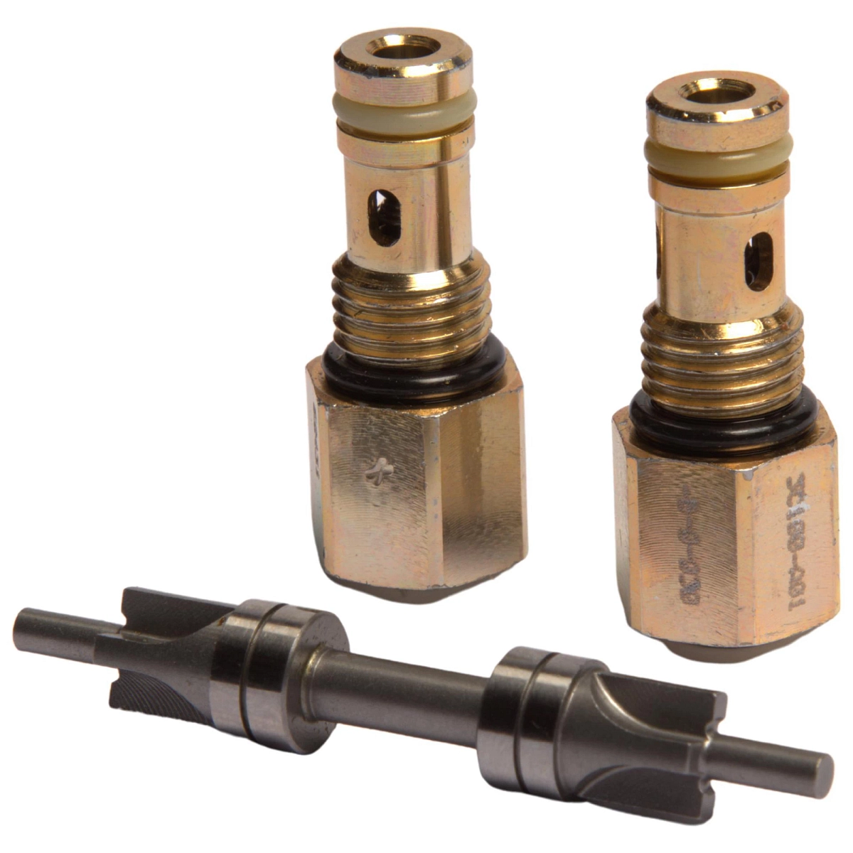 Piston Kit, Check Valves and Piston