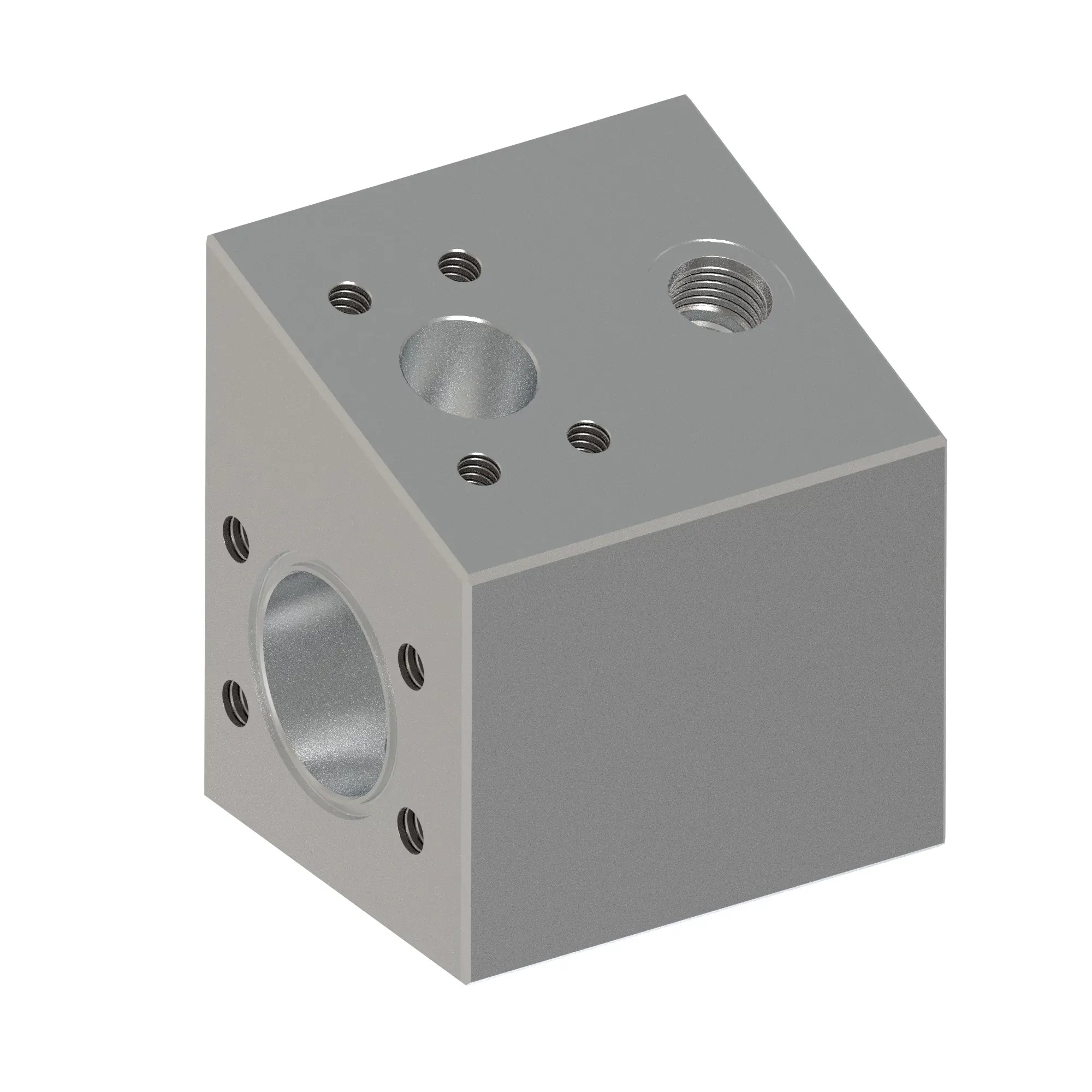Manifold