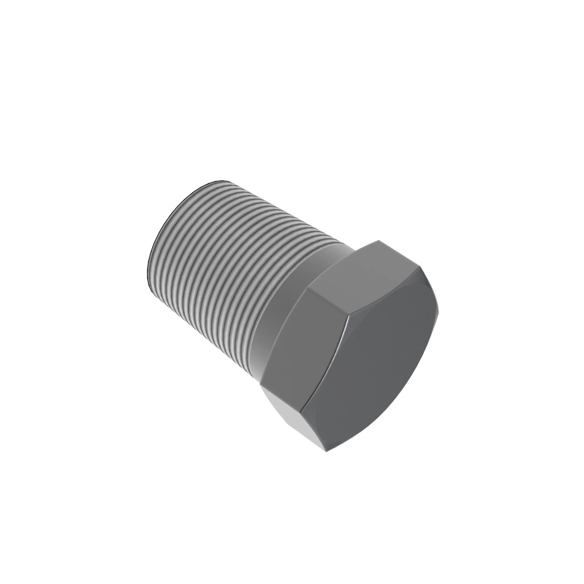 Pipe Plug