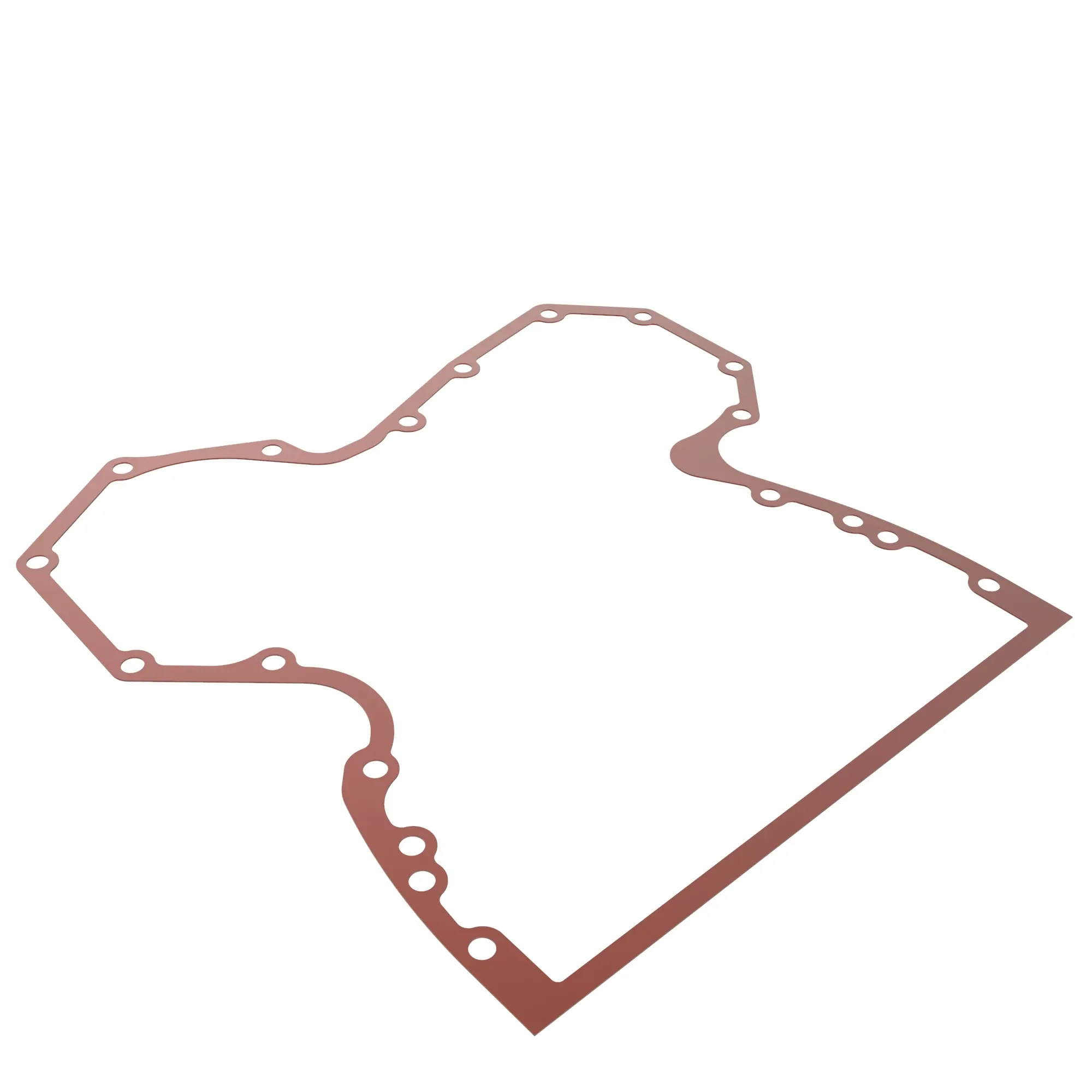 R97454: Timing Gear Cover Gasket