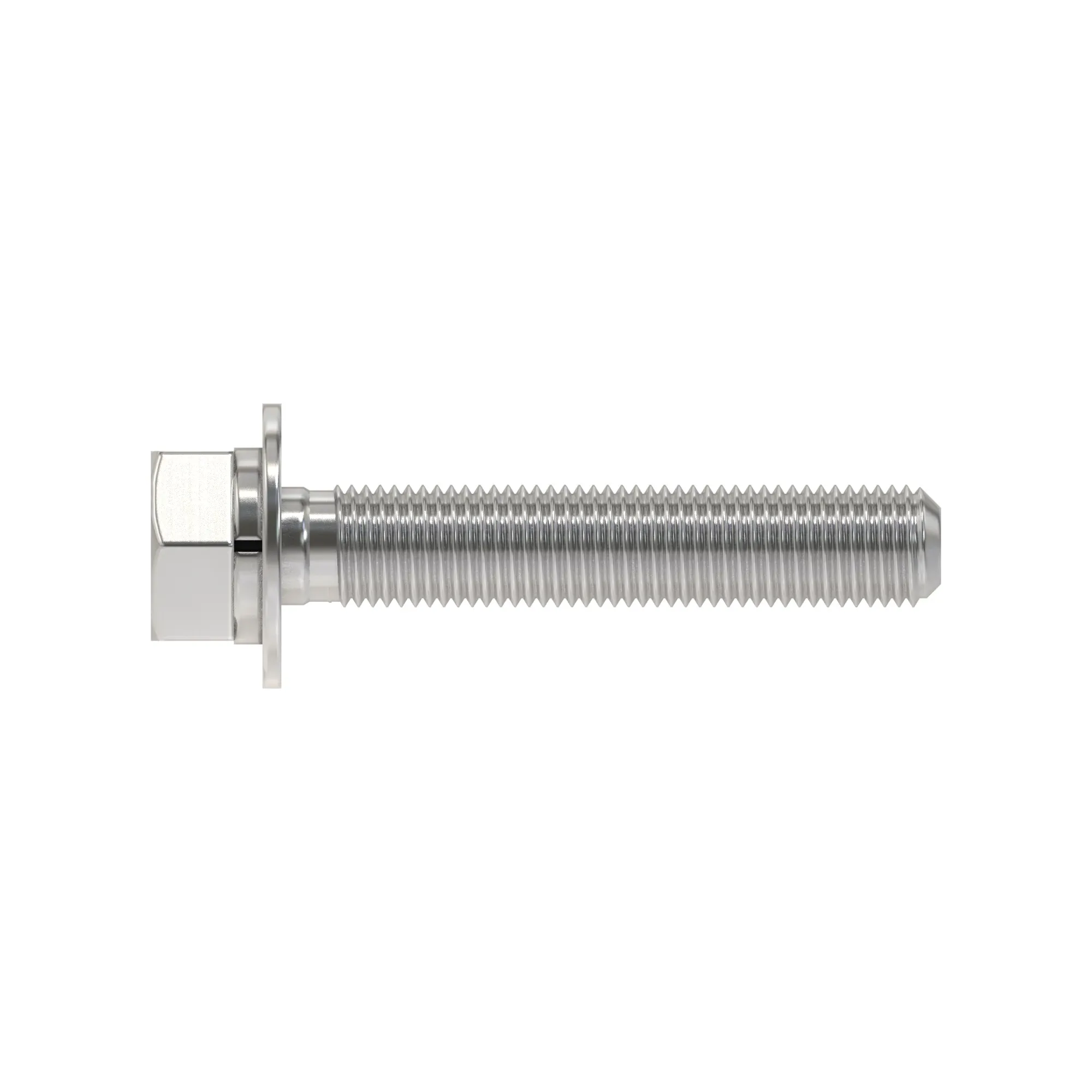 SCREW WITH WASHER