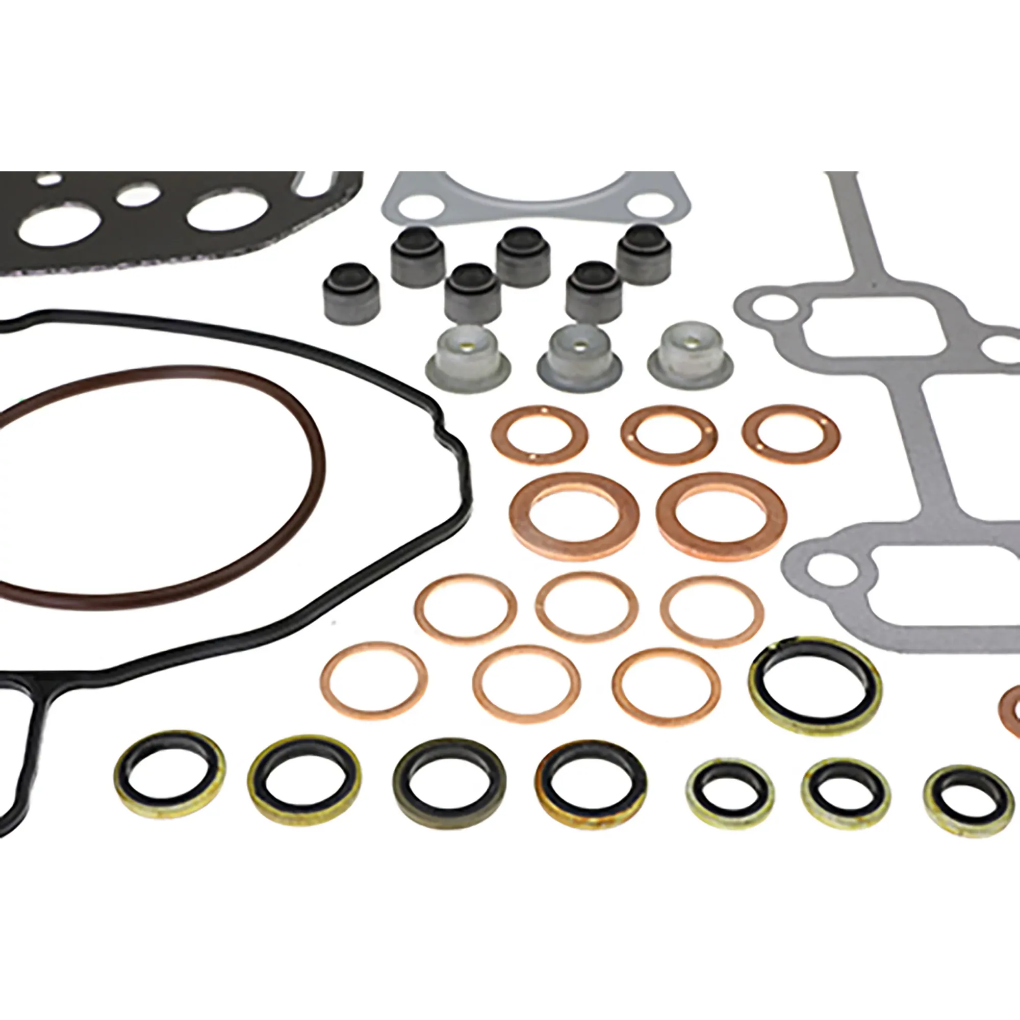 Gasket Kit