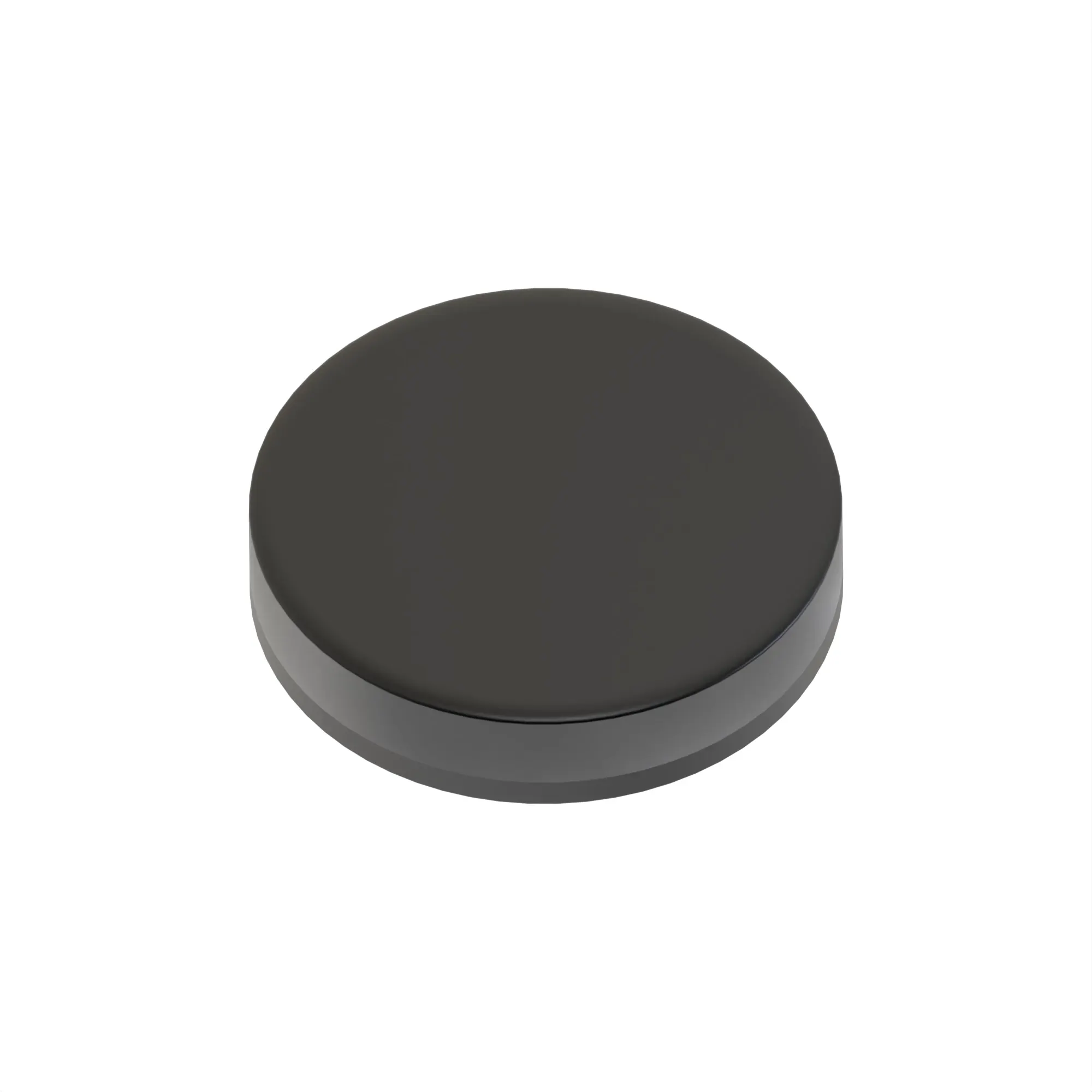 Magnet