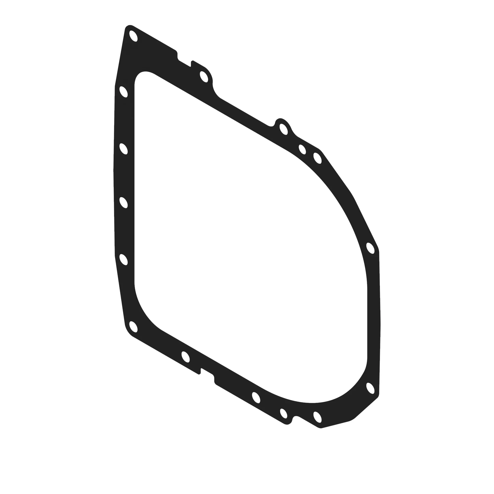 Gasket
