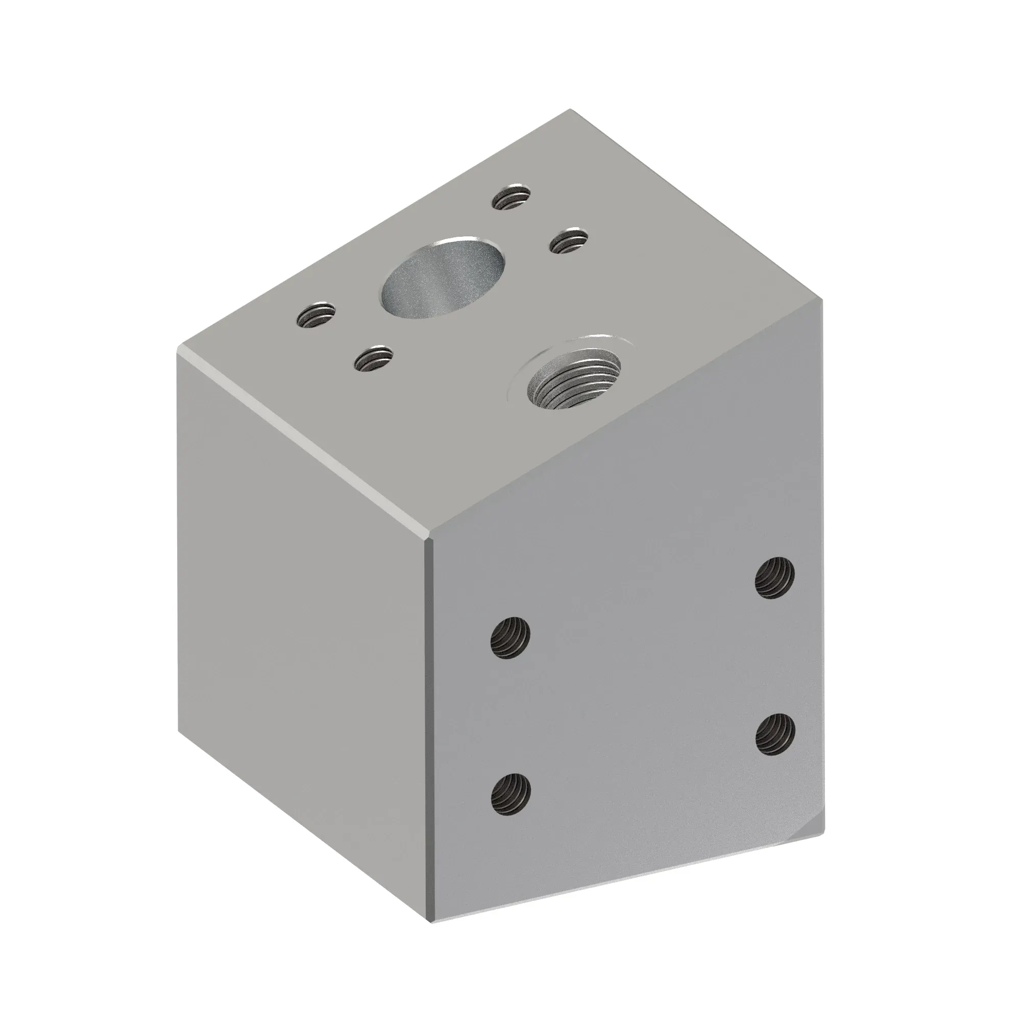 Manifold