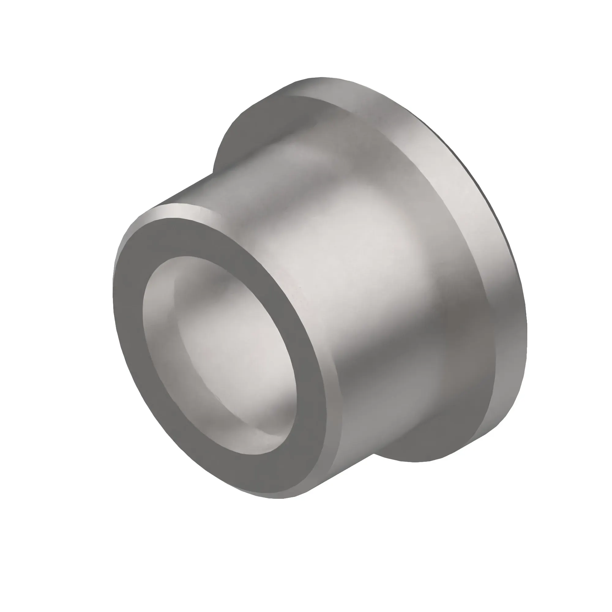 Valve Seat Insert
