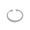 Snap Ring