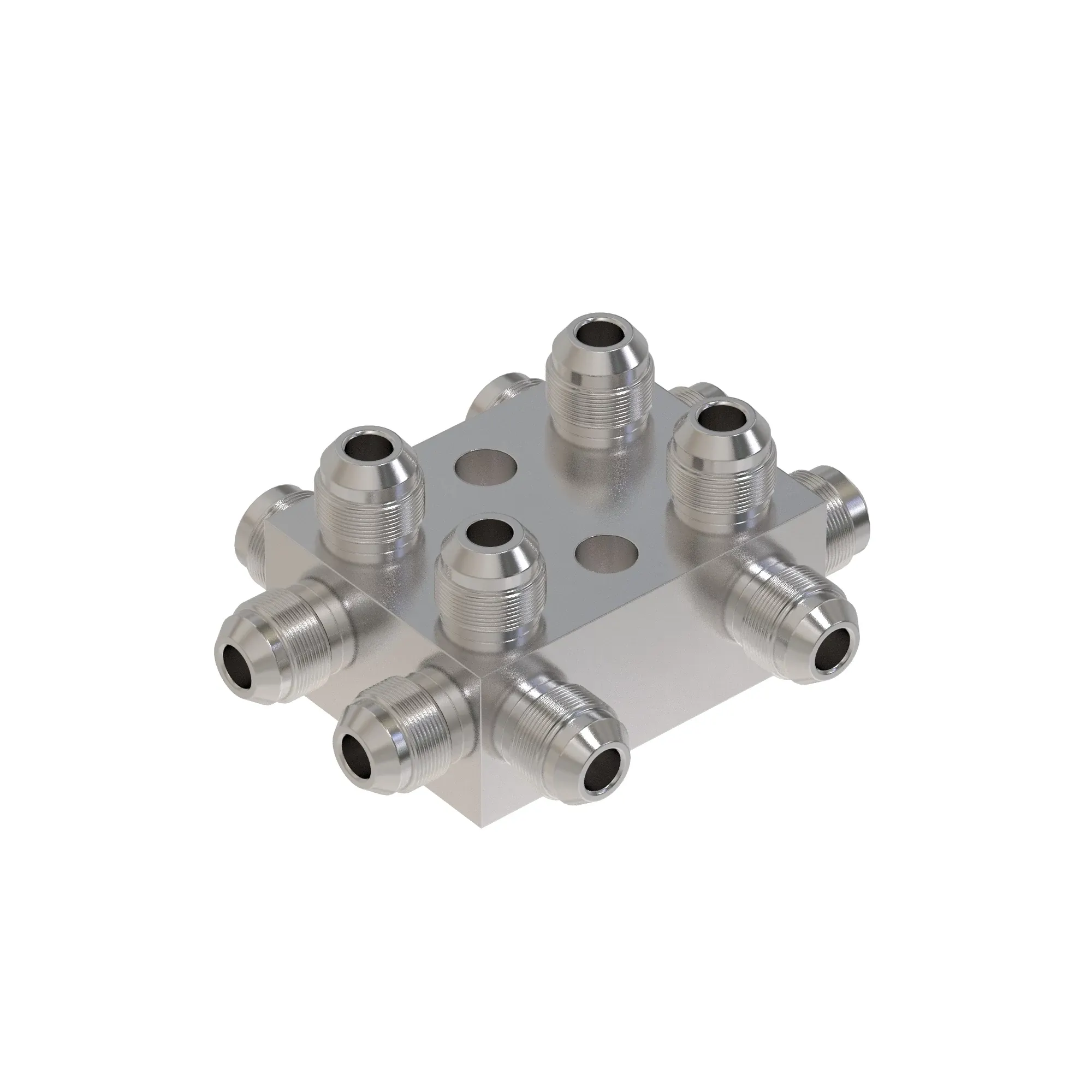 Manifold