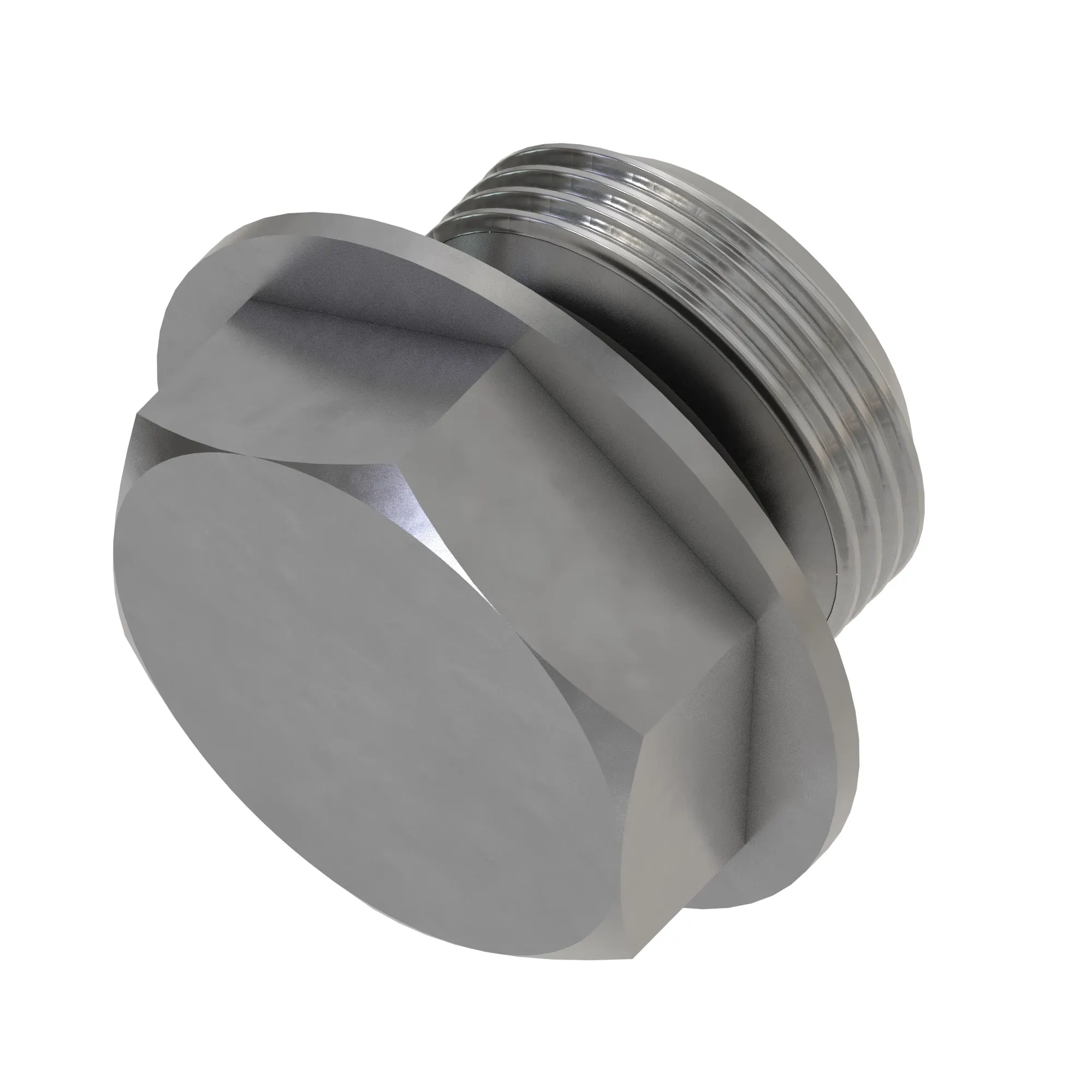 Fitting Plug