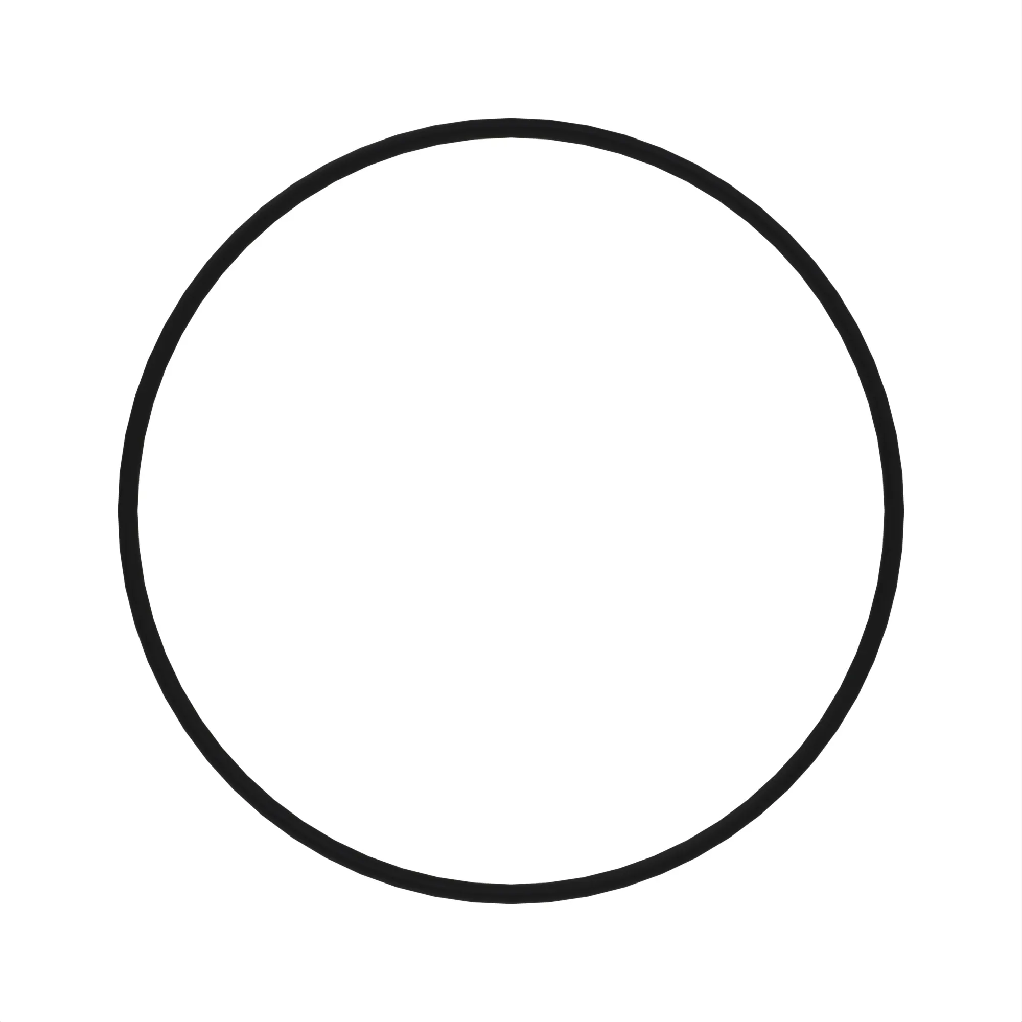 O-RING