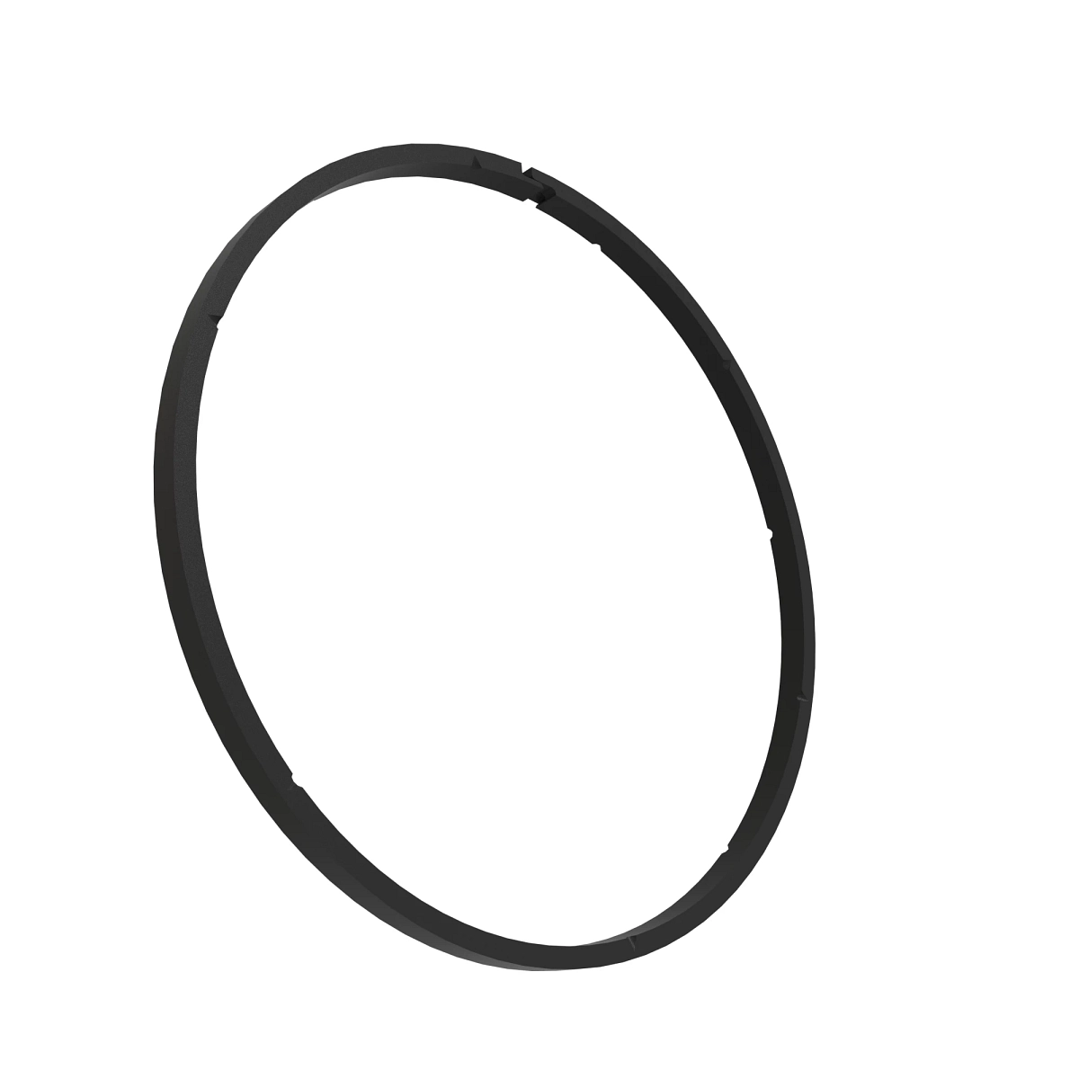Sealing Ring