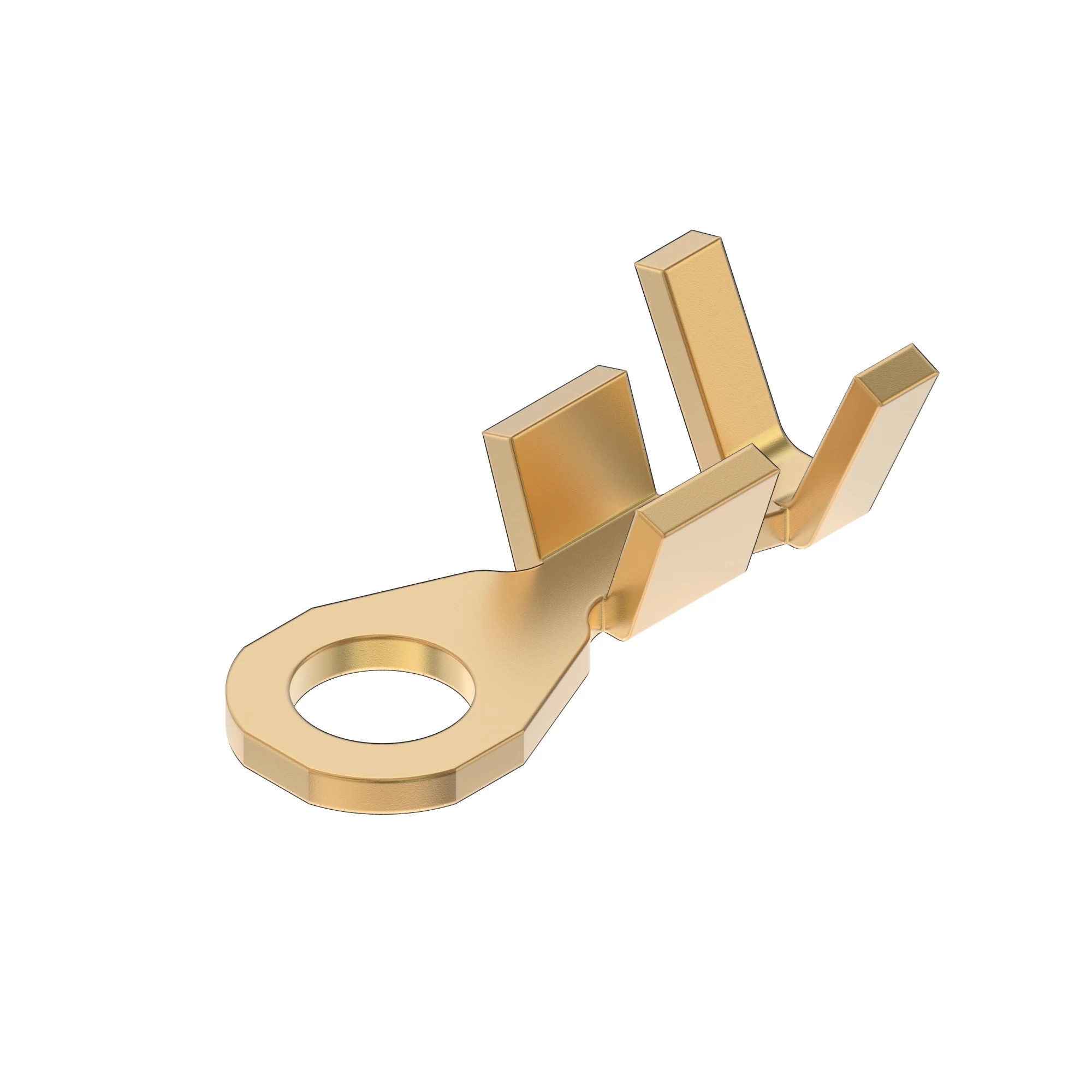 TERM DELPHI RING M5
