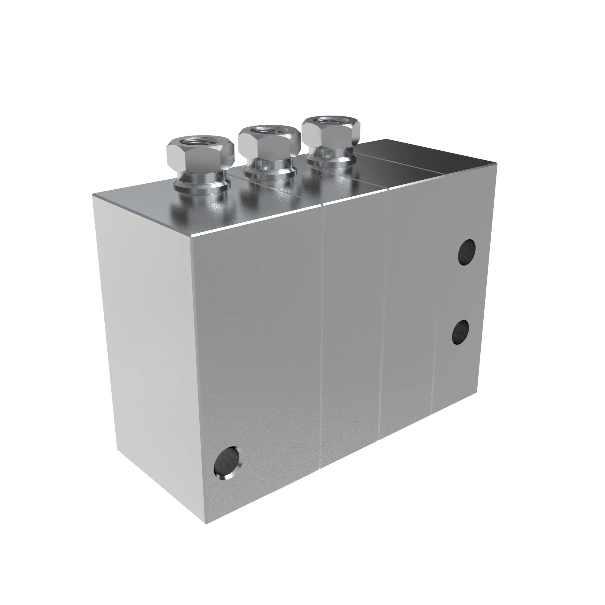Manifold