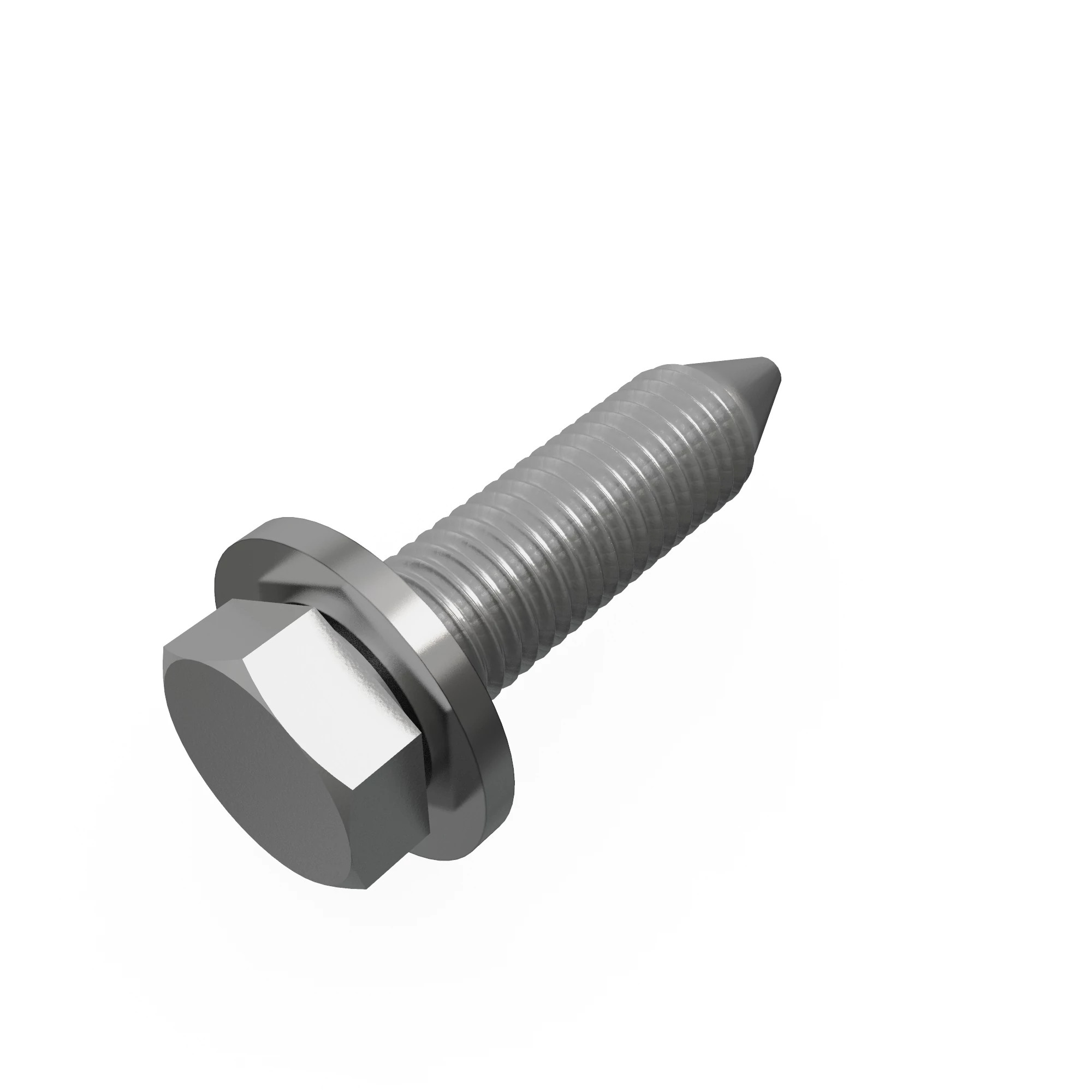 SCREW WITH WASHER