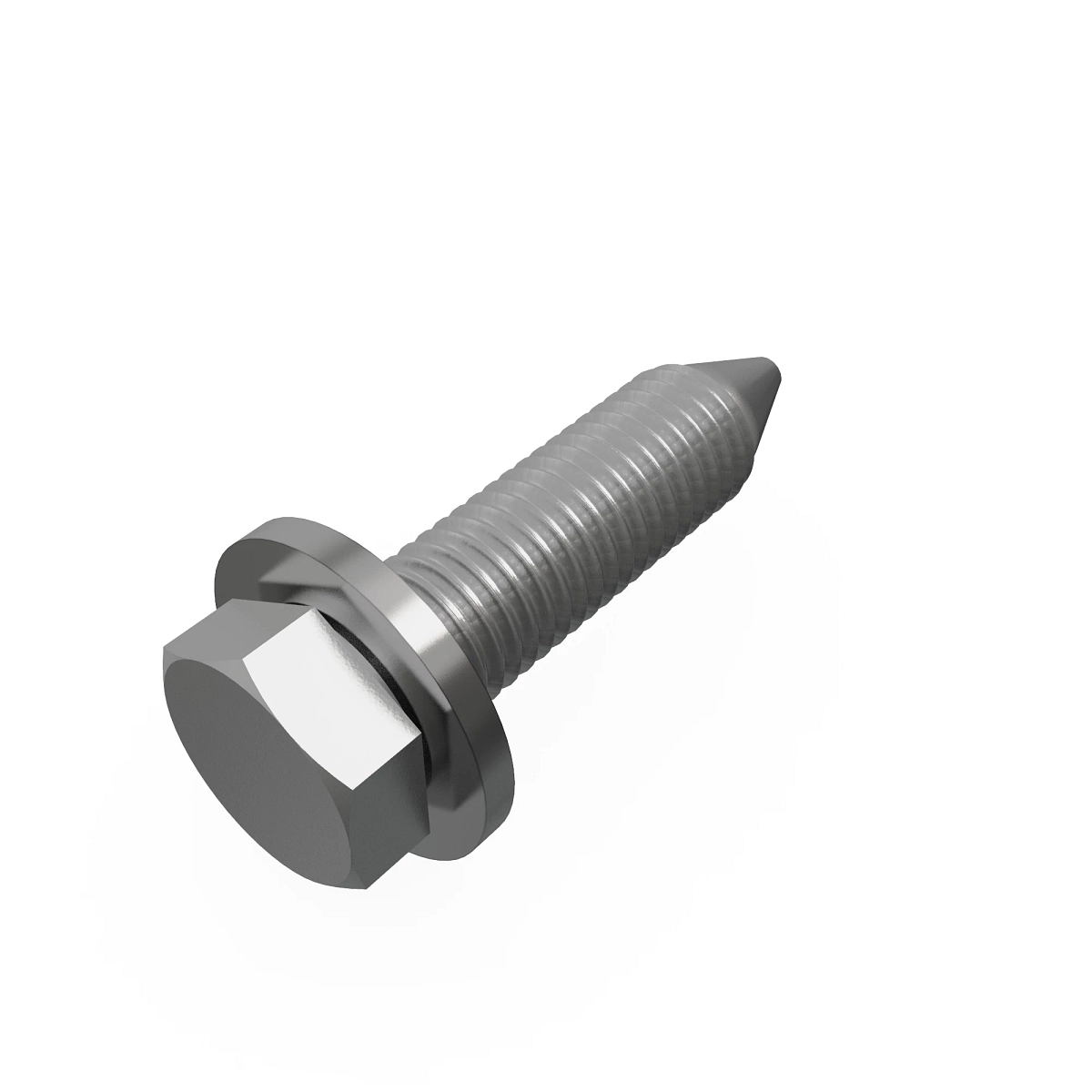 Screw With Washer