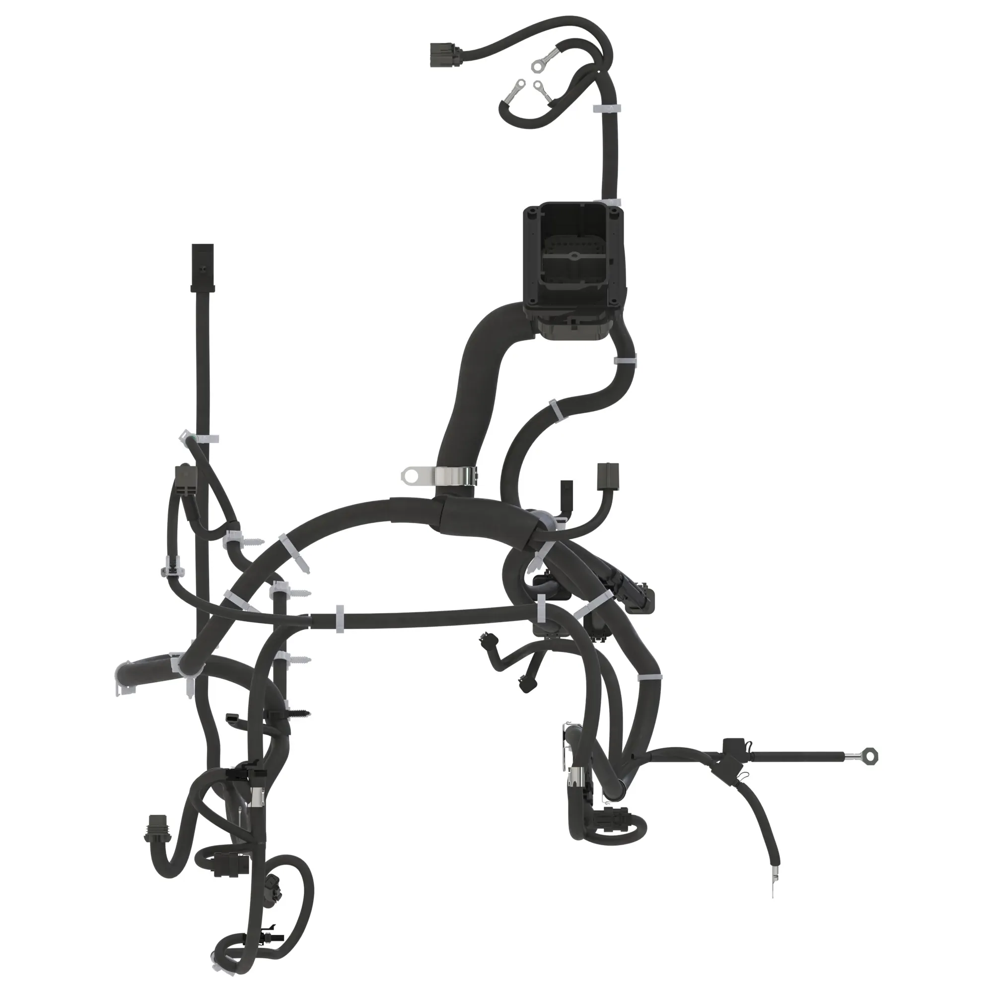 Chassis Wiring Harness
