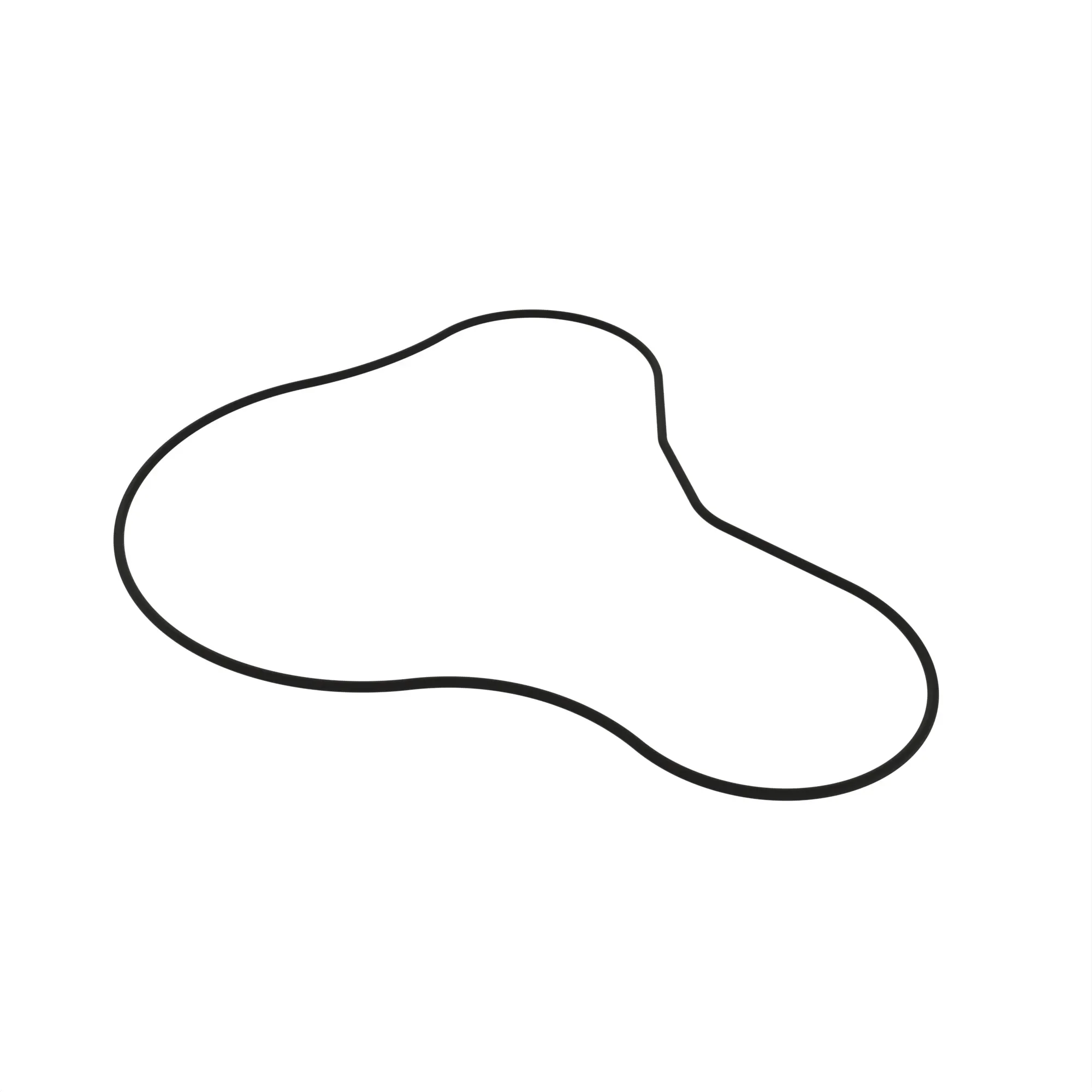 O-RING