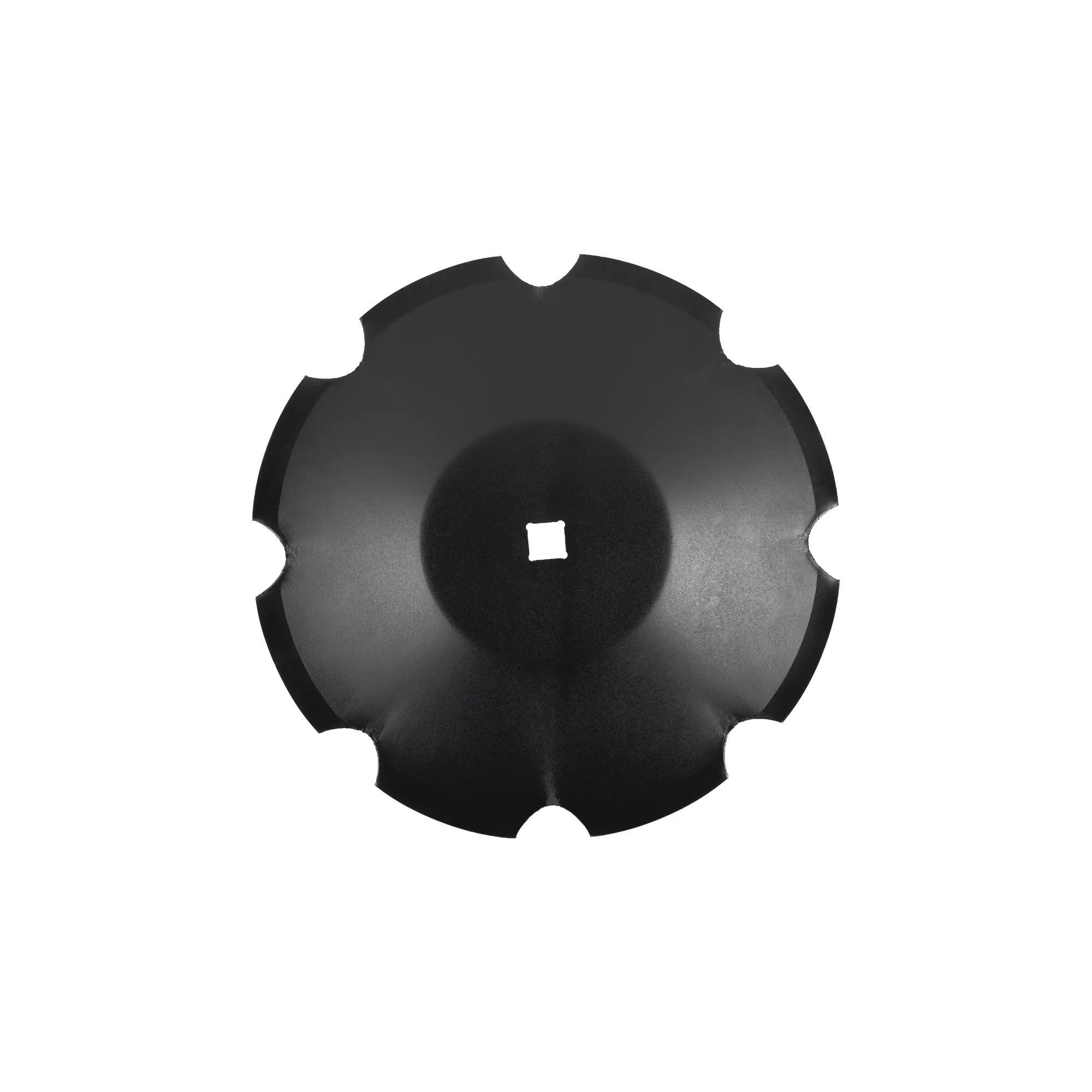 Disk