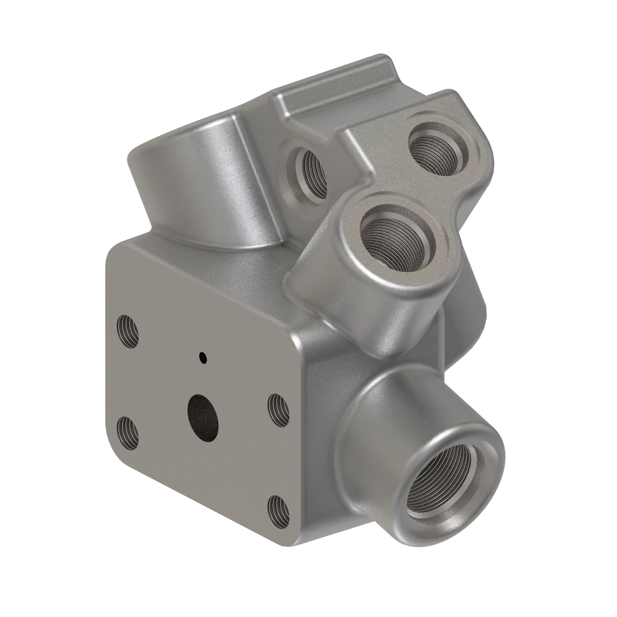 Manifold