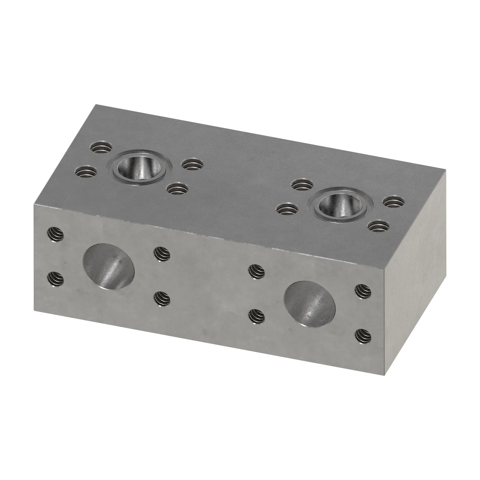 Manifold