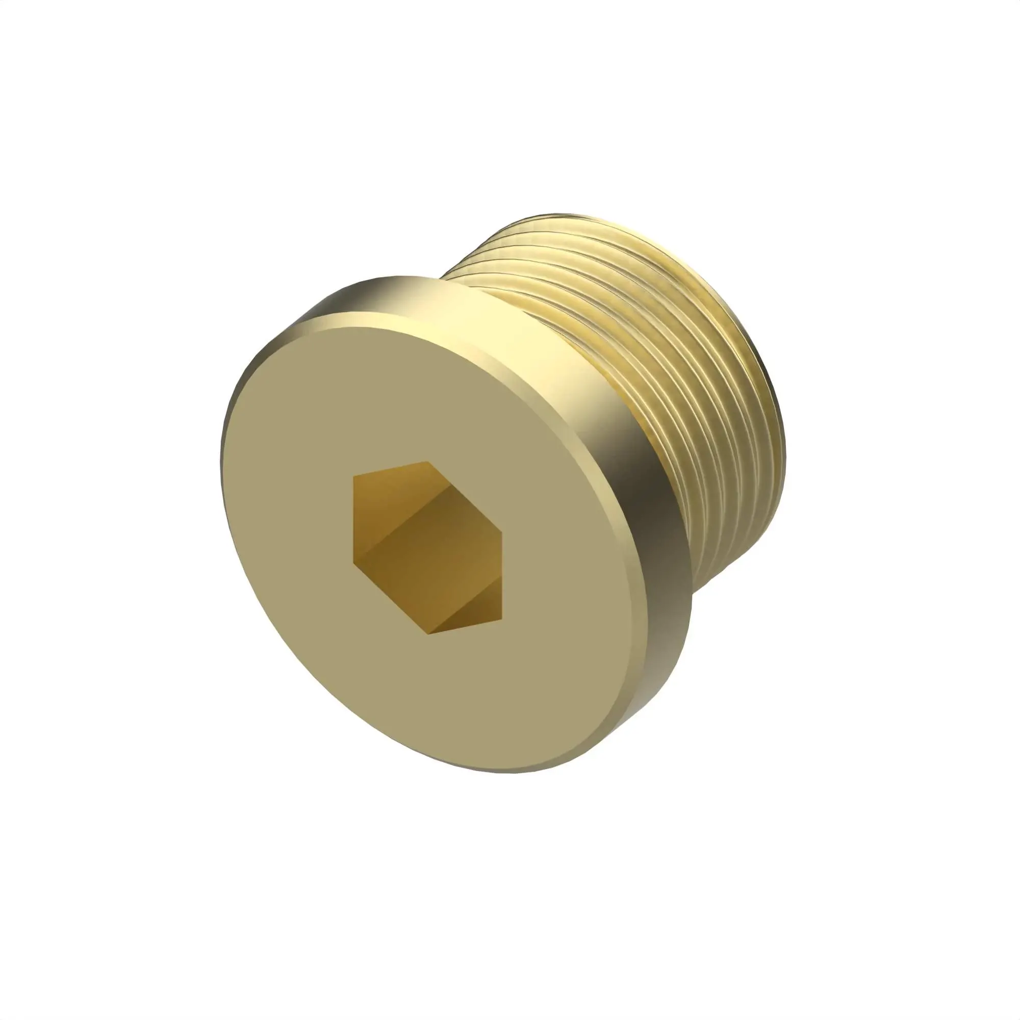 Drain Plug