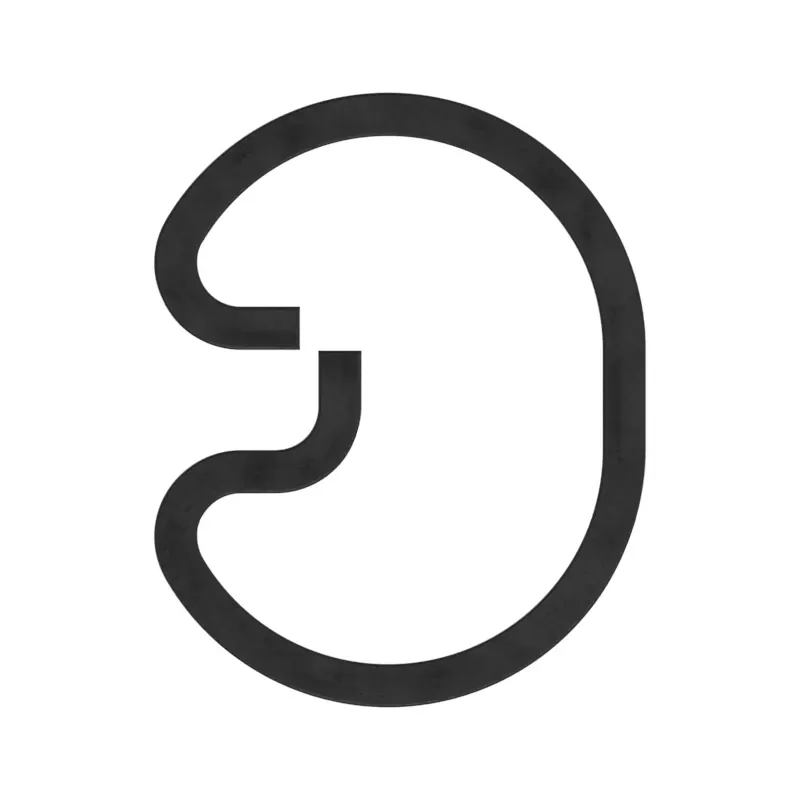 Snap Ring