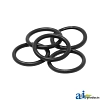 O-Ring
