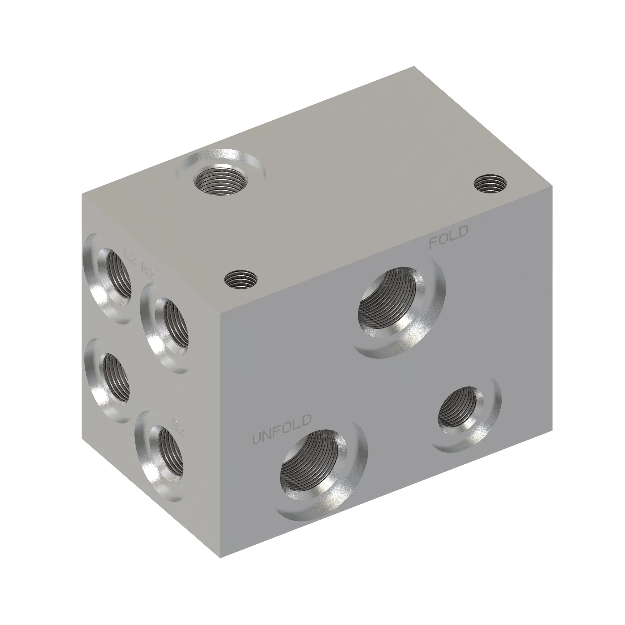 Manifold