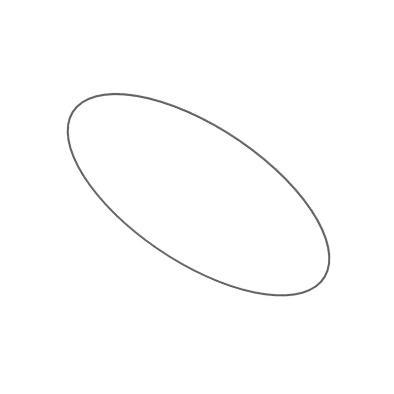 O-Ring