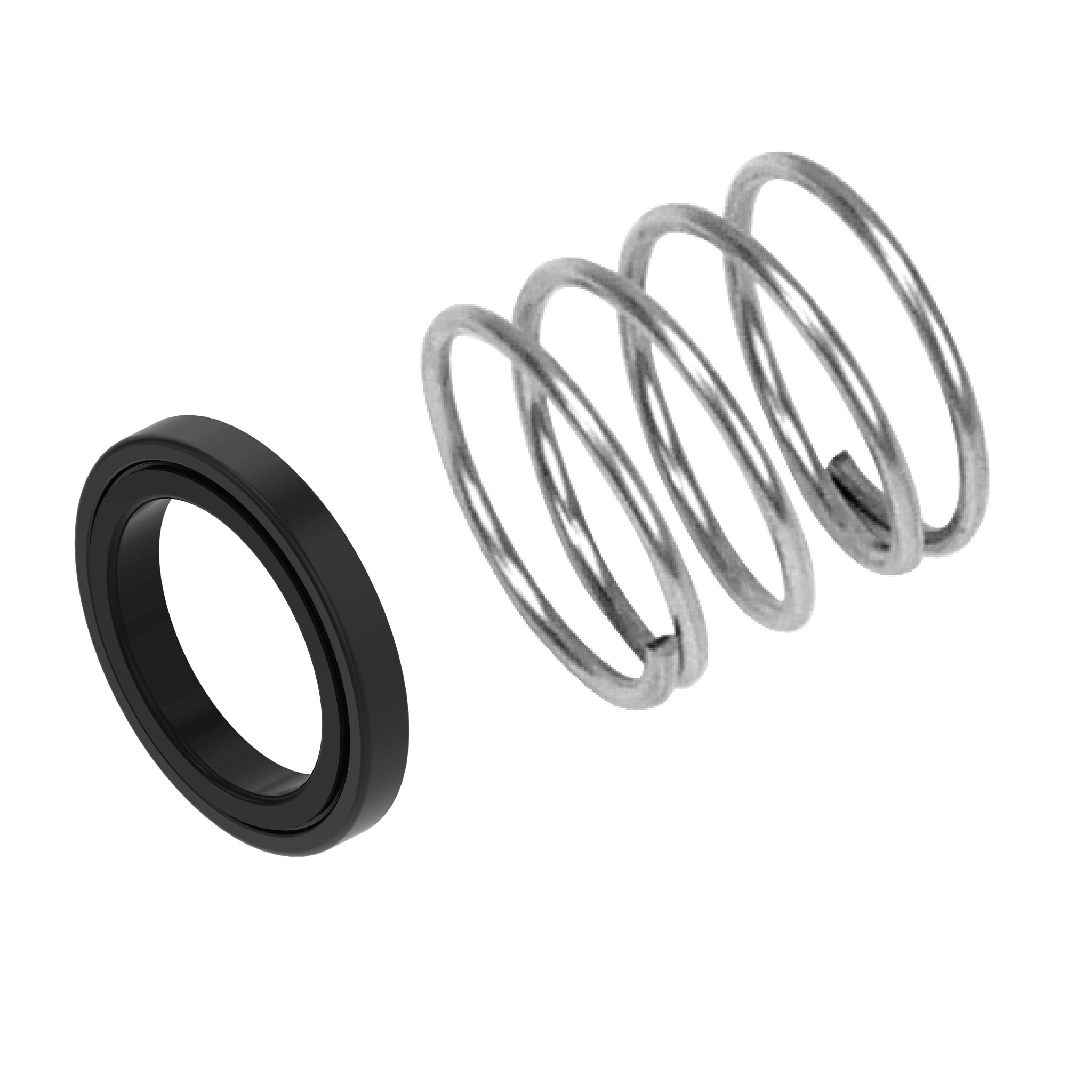 PKG SEAL & SPRING