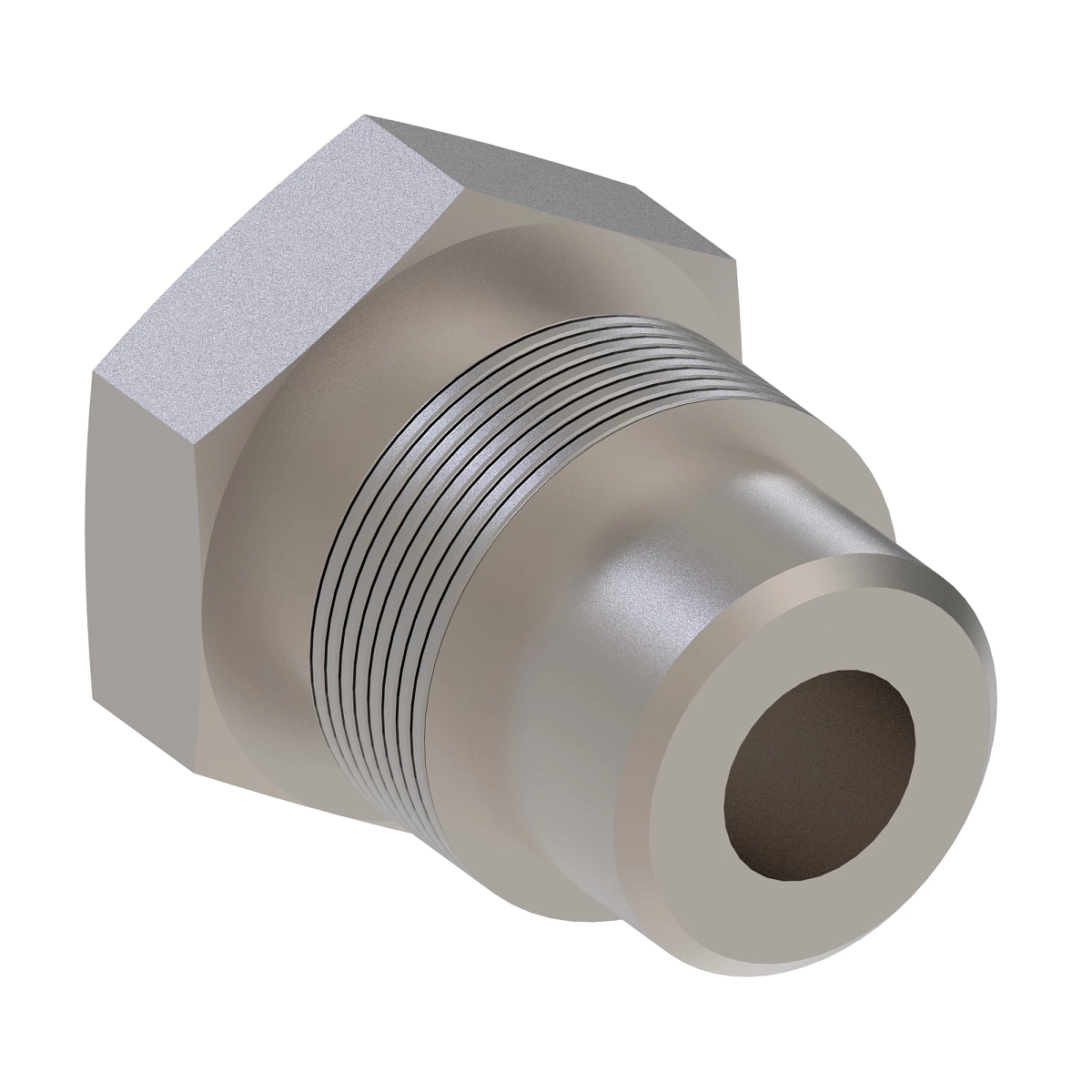 Fitting Plug