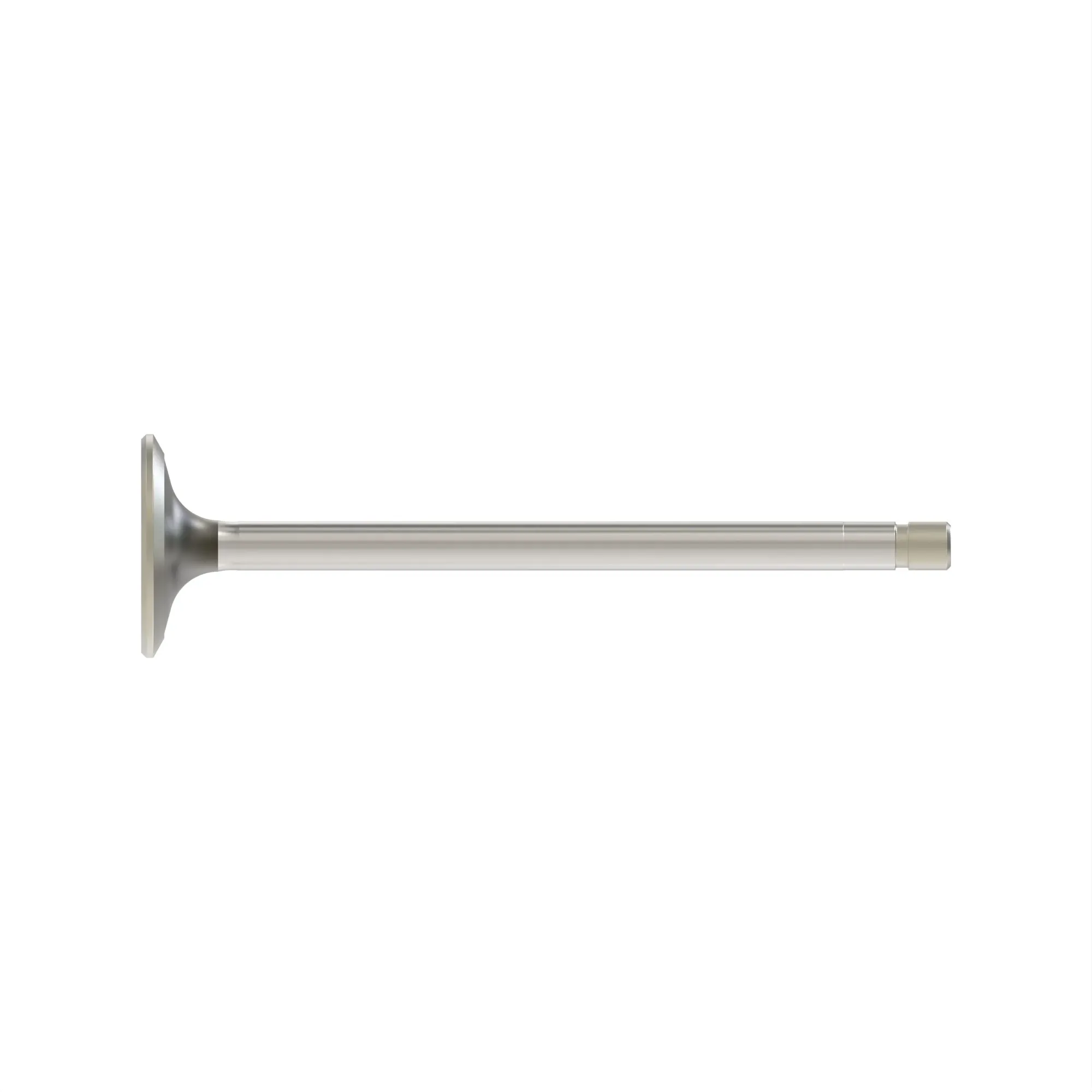 exhaustvalve