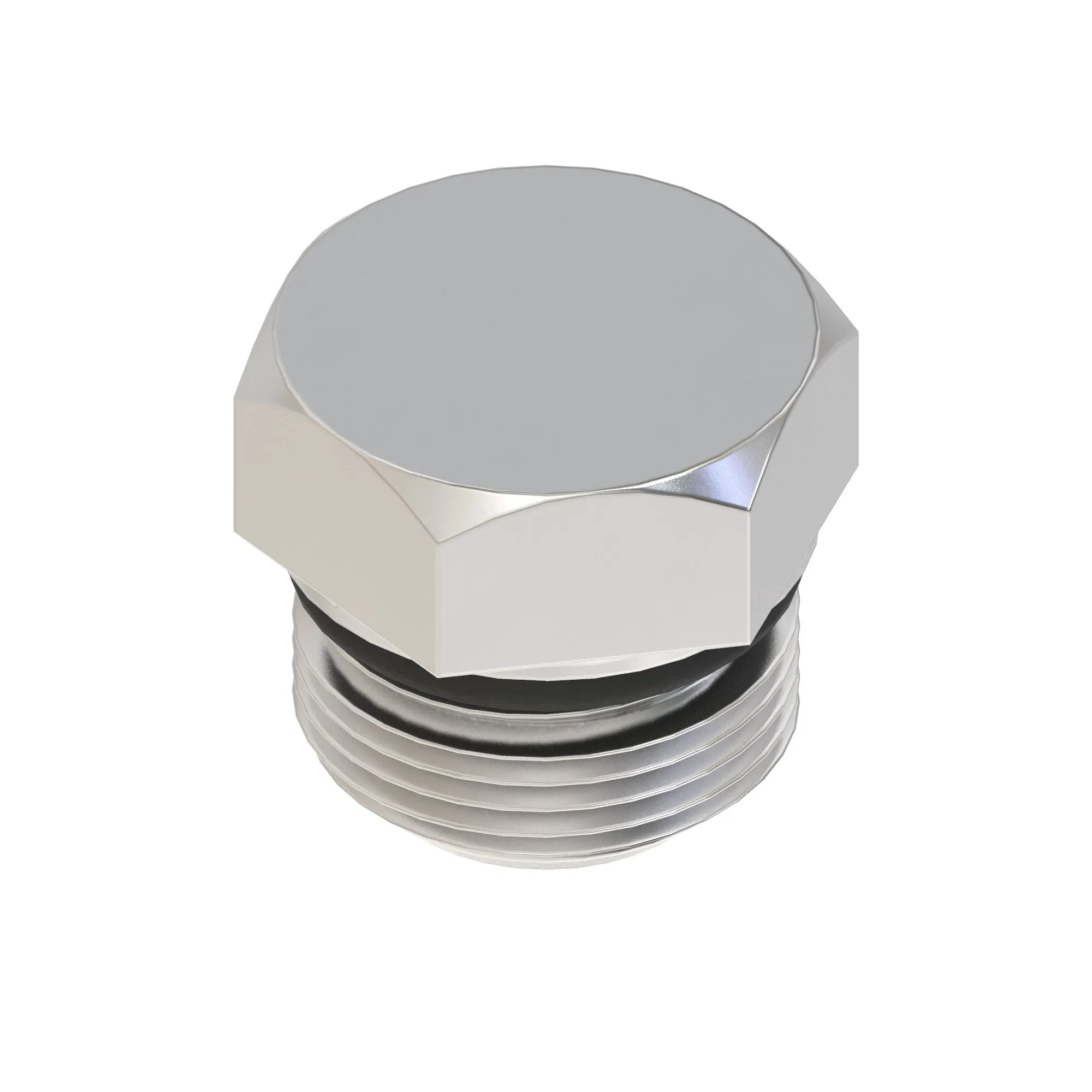 Fitting Plug
