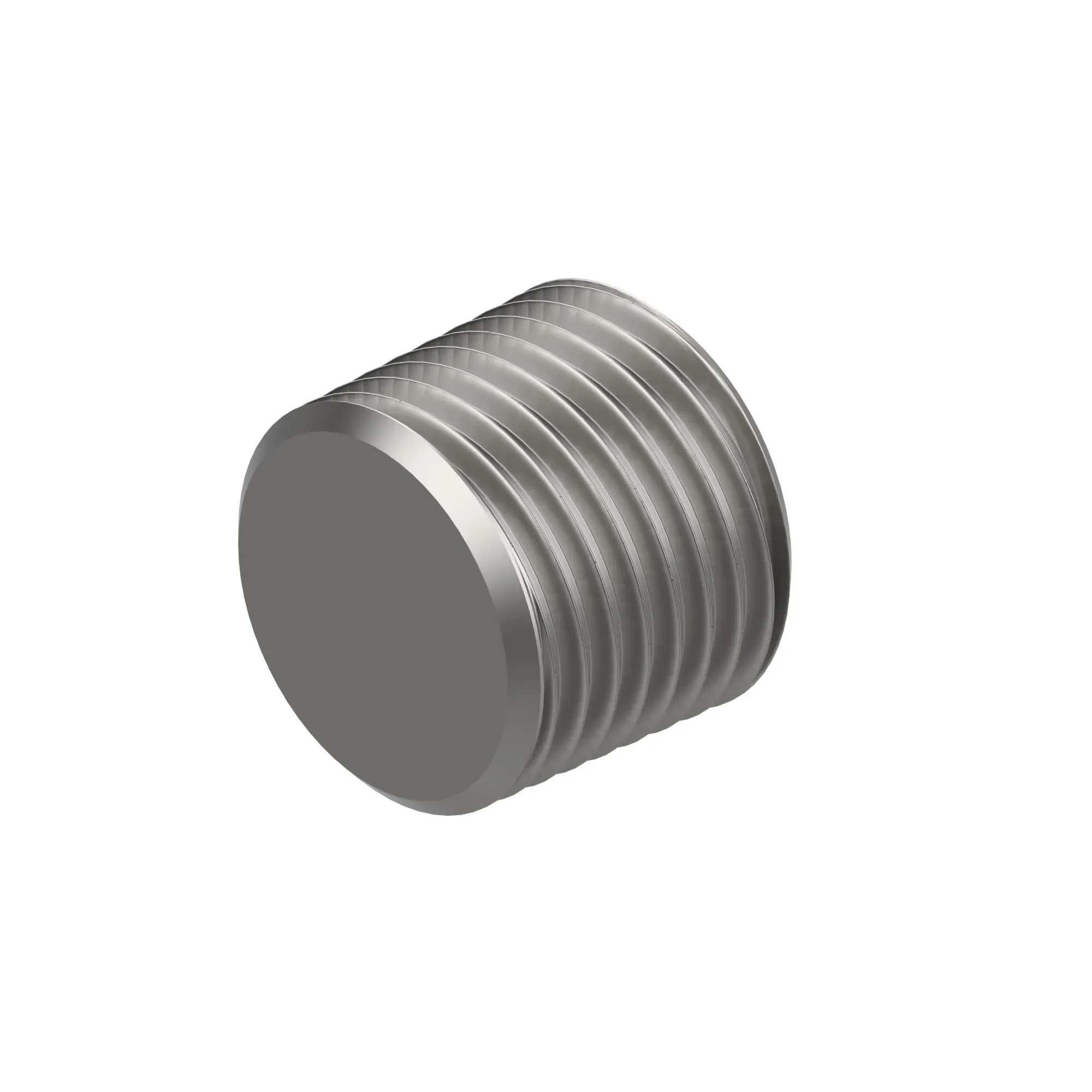 Pipe Plug
