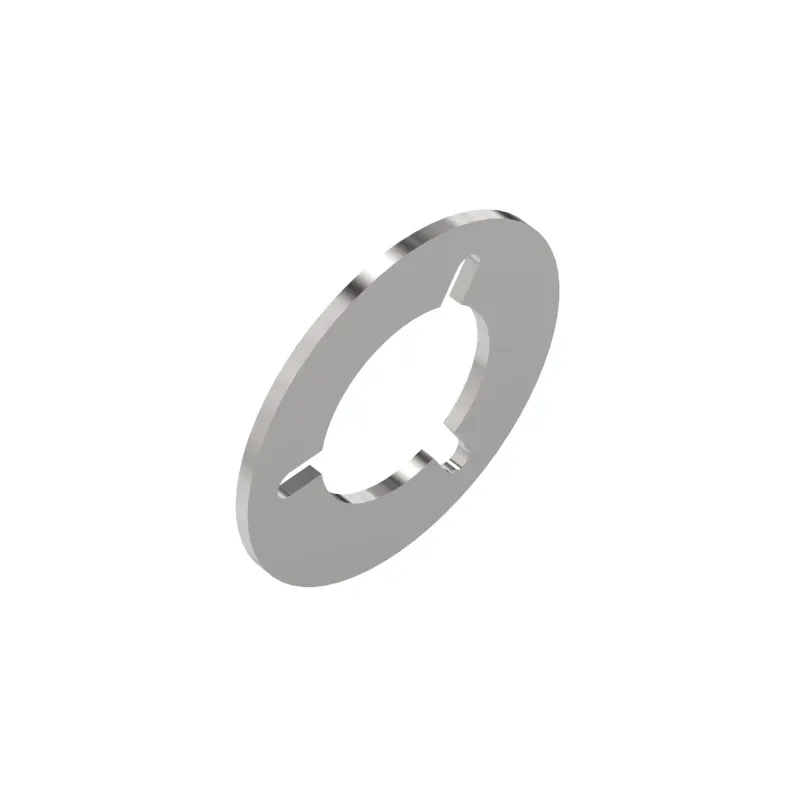 Thrust Washer