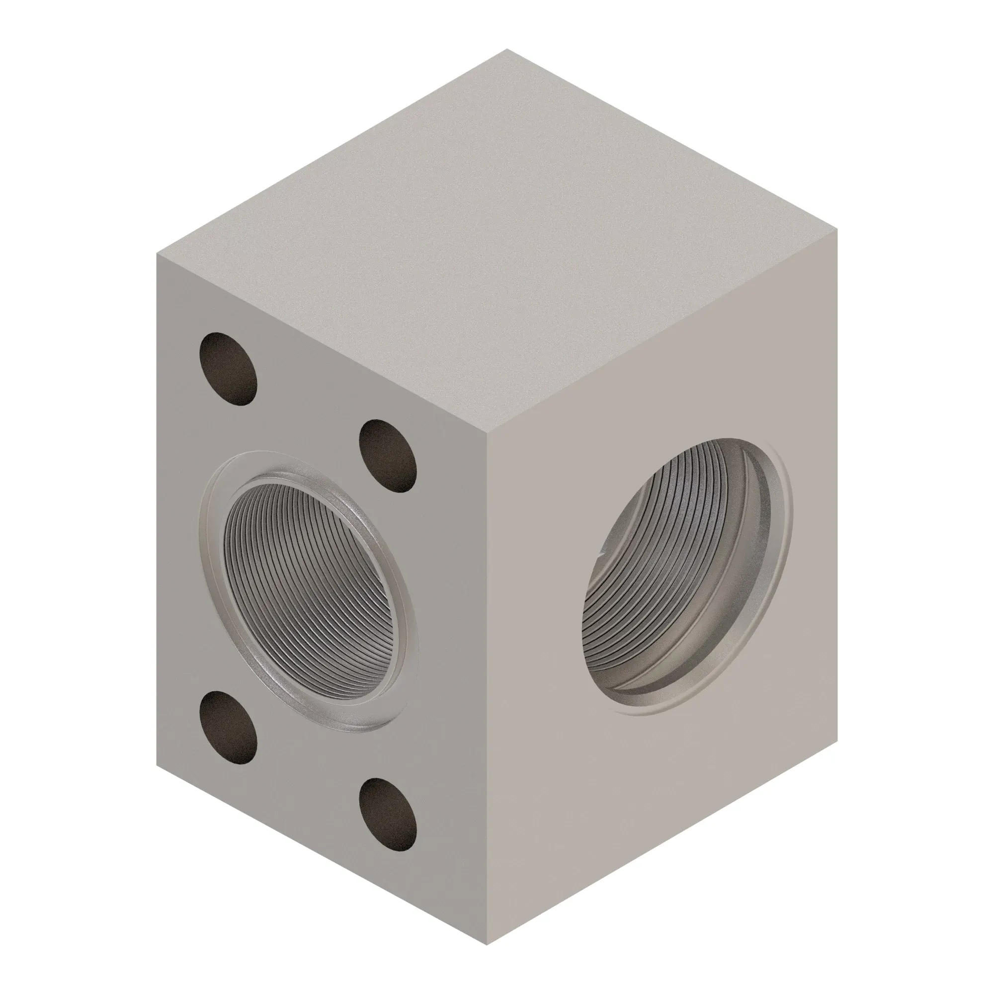 Manifold