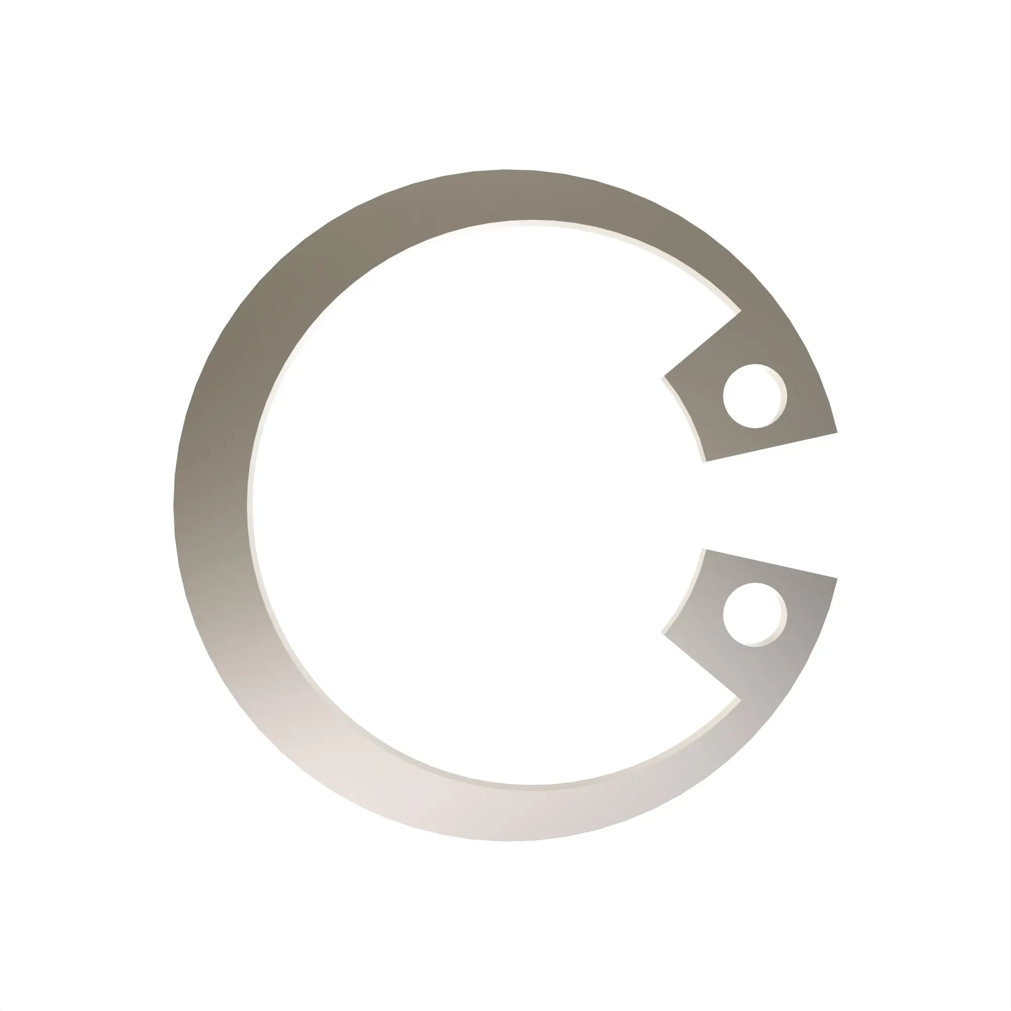 Snap Ring
