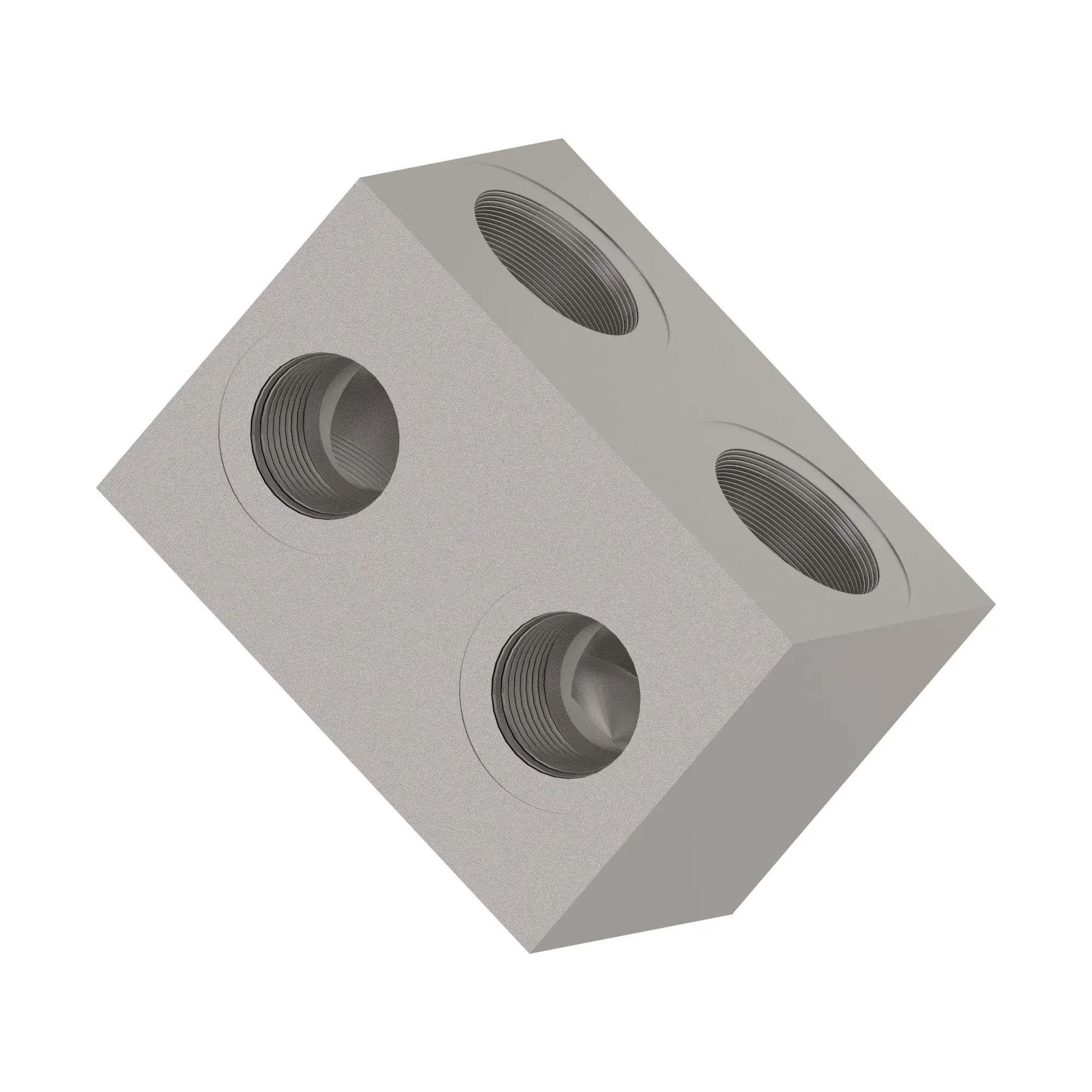 Manifold