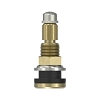 Tire Valve Stem