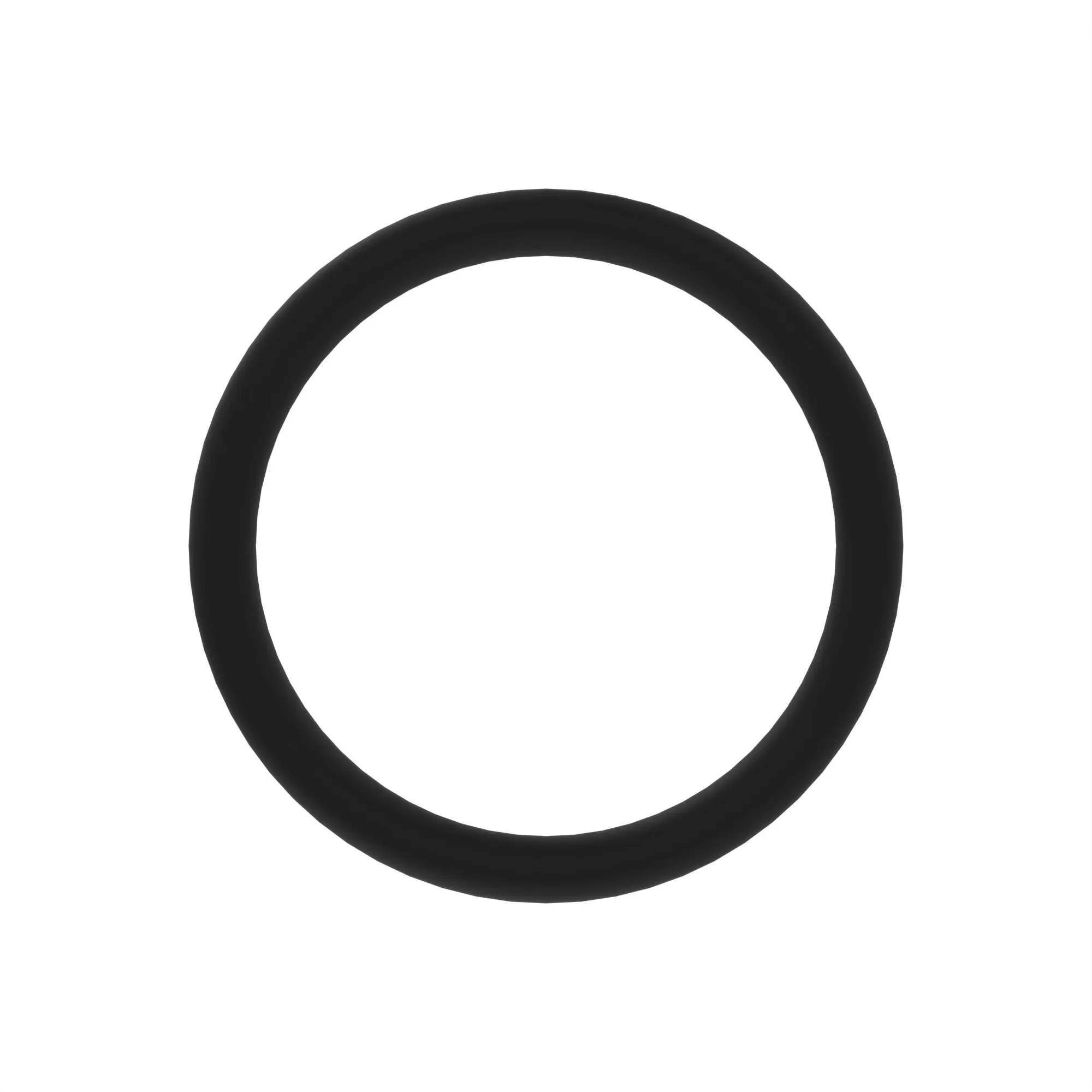 O-Ring