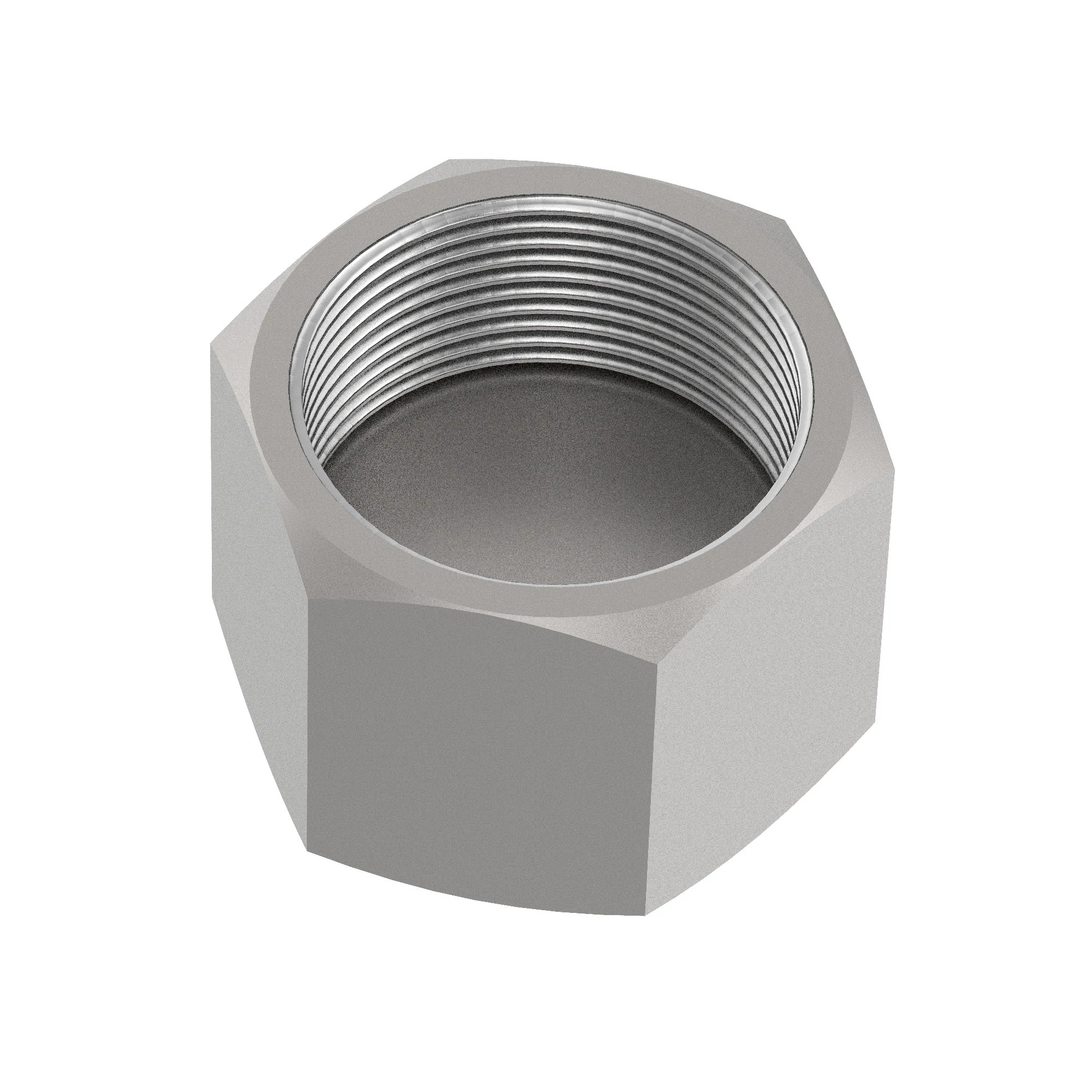 CAP ASSEMBY, O-RING FSF