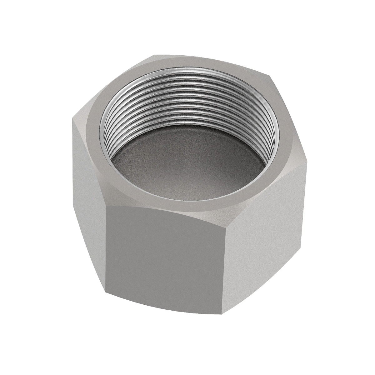 Cap Assemby, O-Ring FSF
